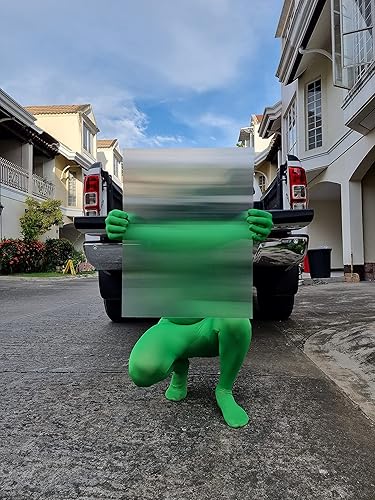 Lámina lenticular de 17 x 13 pulgadas, parte trasera adhesiva 50LPI (5 hojas), lámina lenticular transparente en blanco, retrato, trucos de magia,