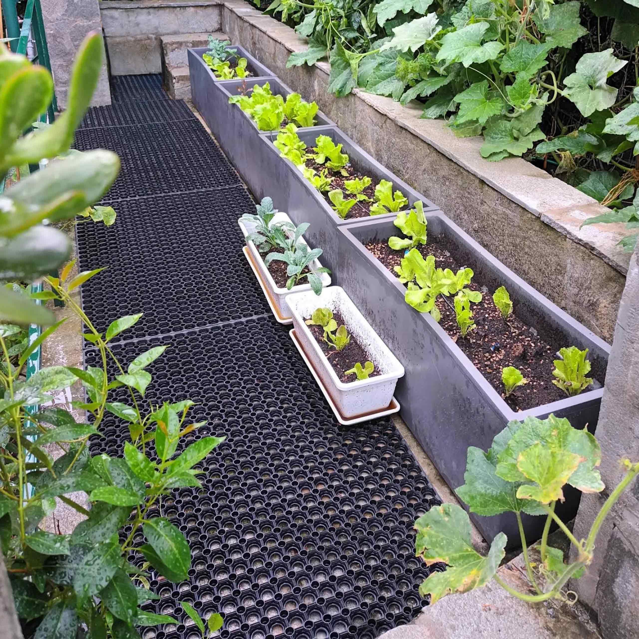 OLIVO.shop - Felpudo Robusto de Goma para Exteriores, Lluvia, Drenante, Perforado, Alfombra Antideslizante a Rejilla para Exterior (80 x 120 cm)