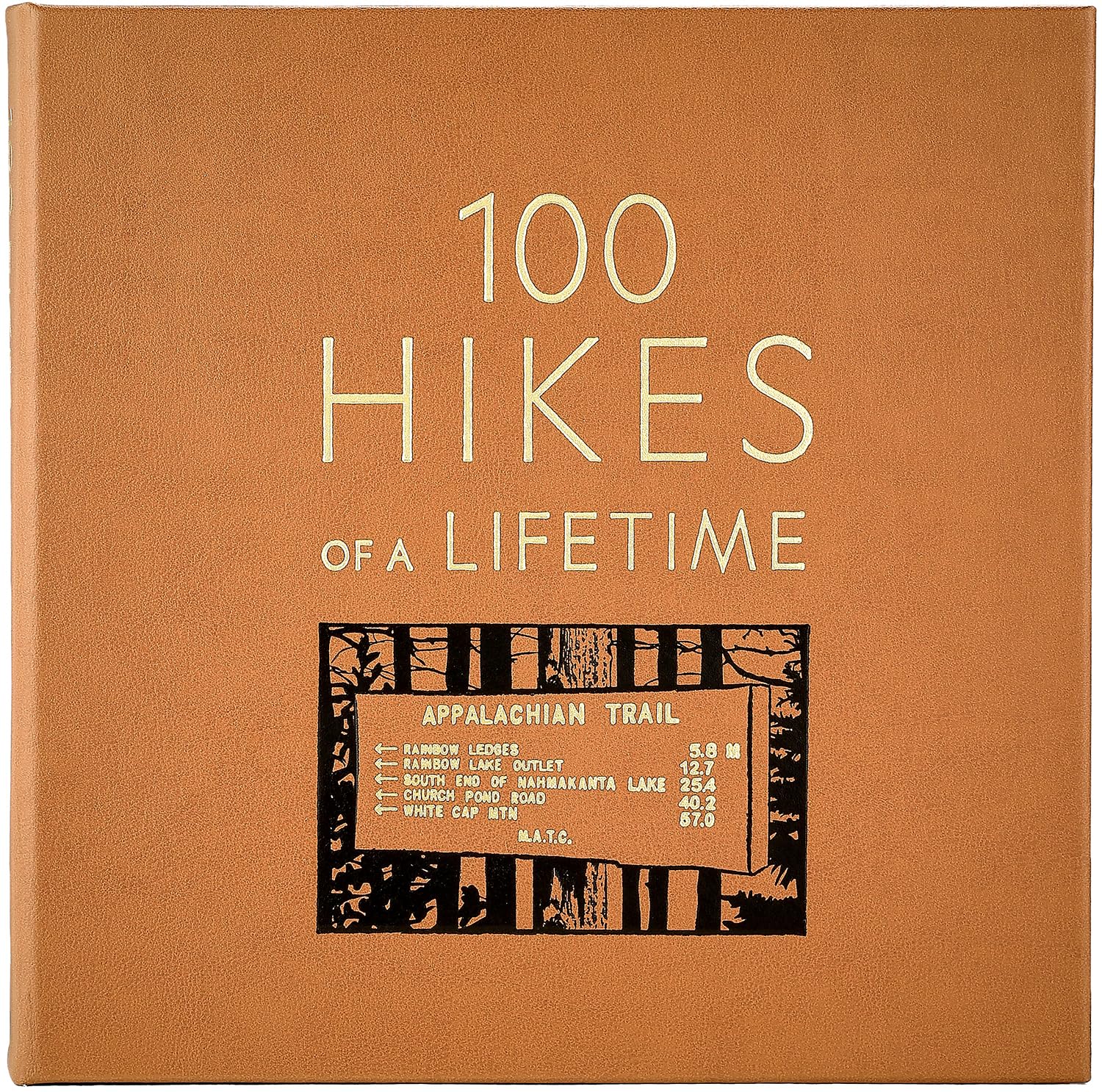 100 randonnées d'une vie : les sentiers pittoresques ultimes du monde – Graphic Image Leather Bound Tan – Édition de collection fine – Fabriqué aux États-Unis