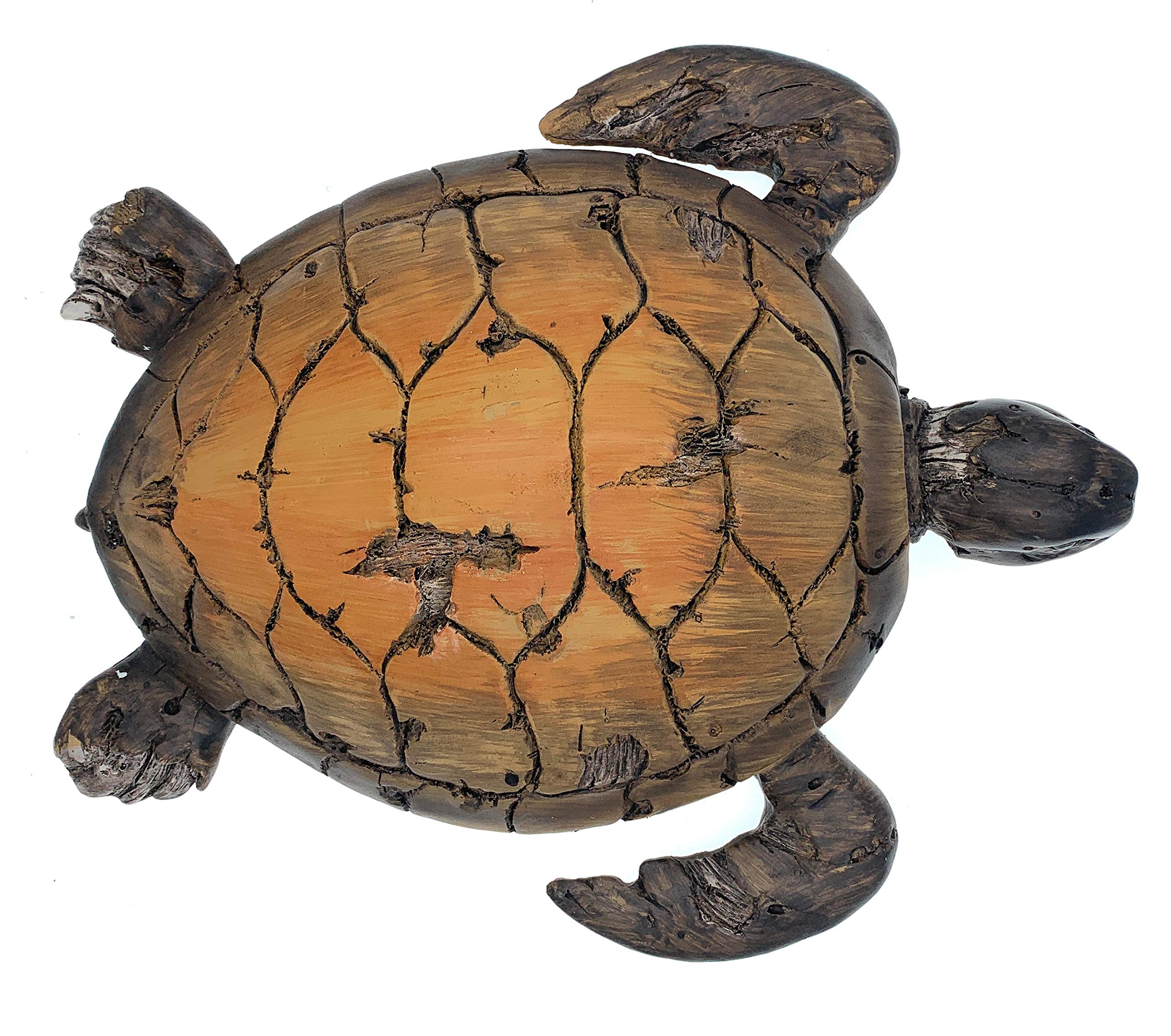 Amazon.com: Globe Imports Loggerhead Sea Turtle Resin Statue with