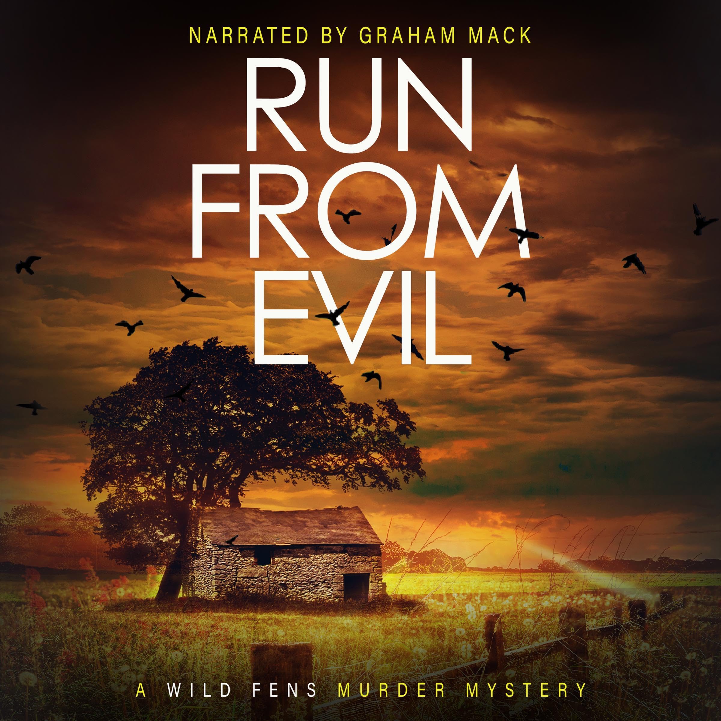 Cover art for Run from Evil