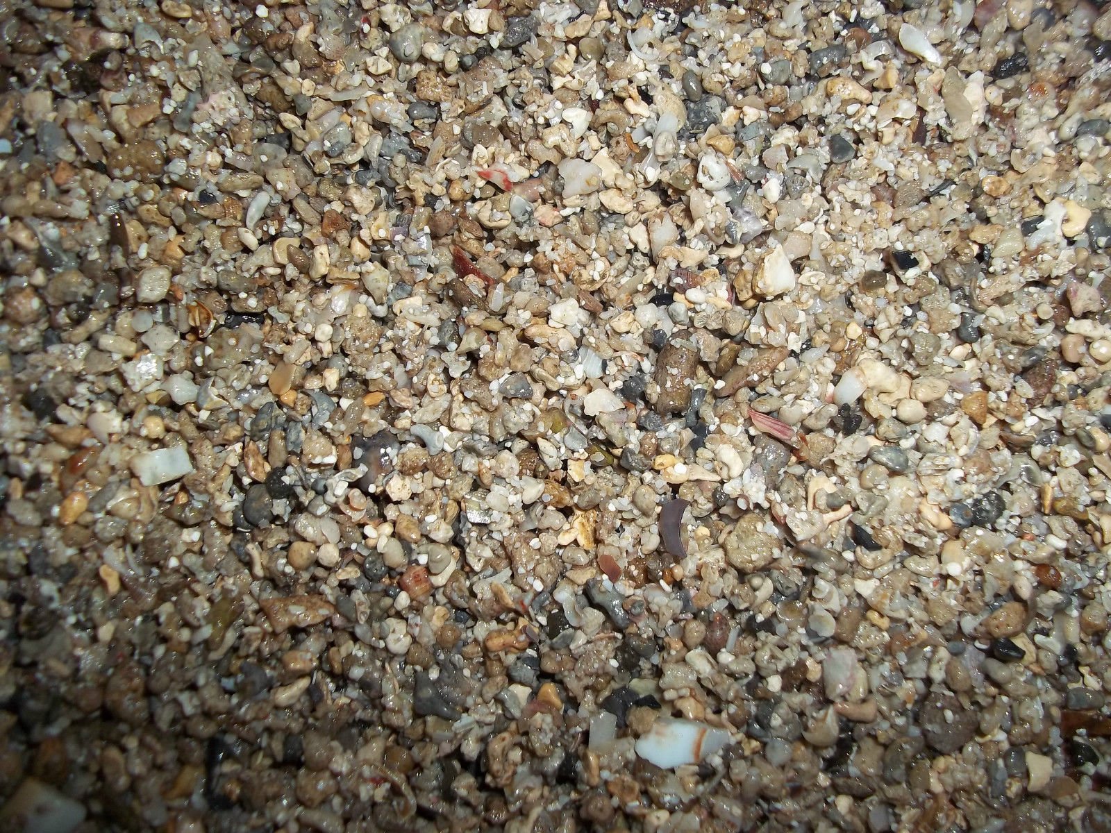 Buy Soil Sand Substrate with Fertilizer Aquarium Water 2kg Gravel ...