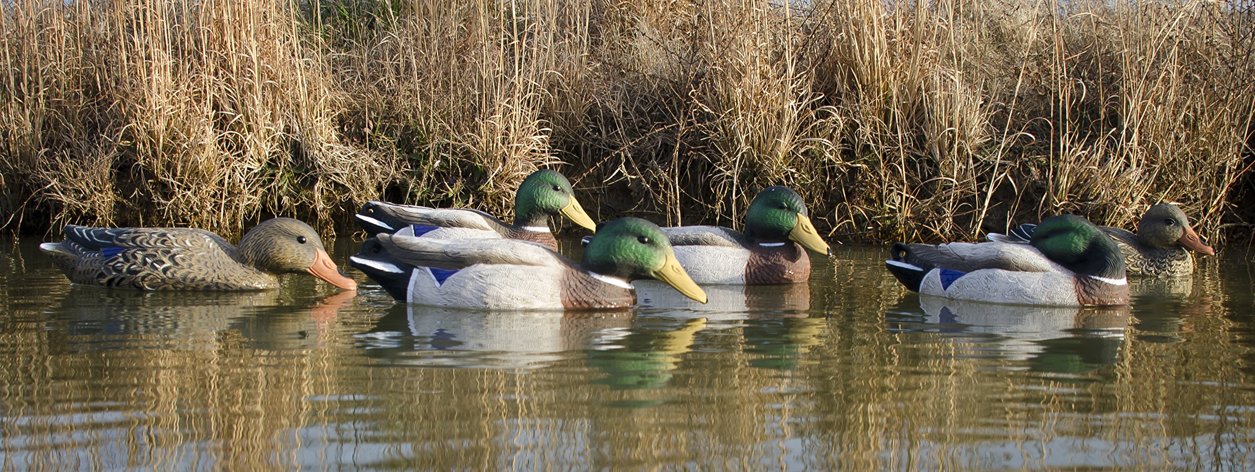 Higdon Outdoors Full-Size Mallard Duck Decoys
