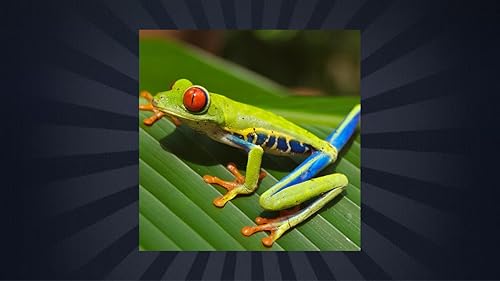 Quiz de curiosidades de espécies de anfíbios
