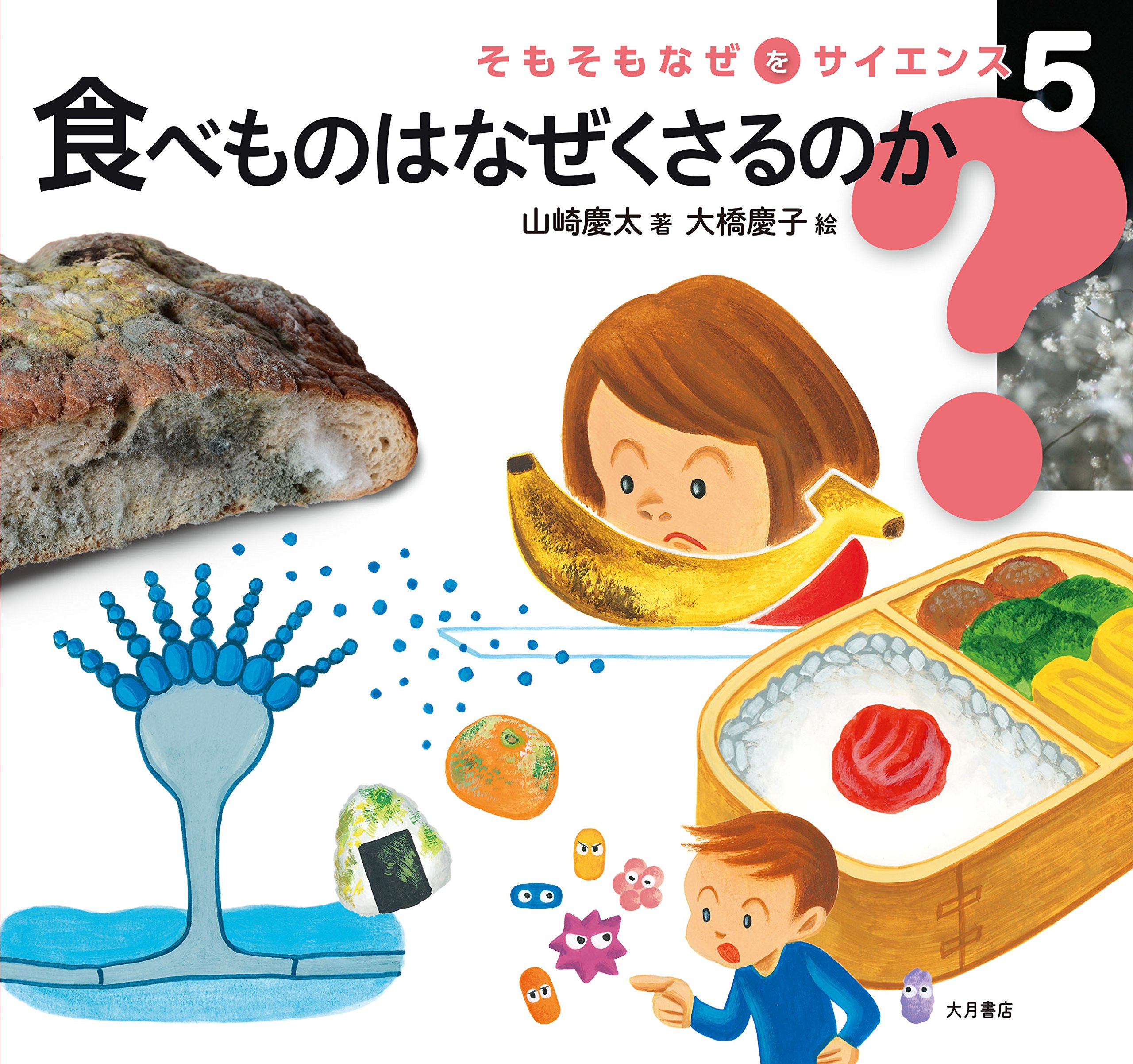 食べものはなぜくさるのか (そもそもなぜをサイエンス) | 山崎 慶太