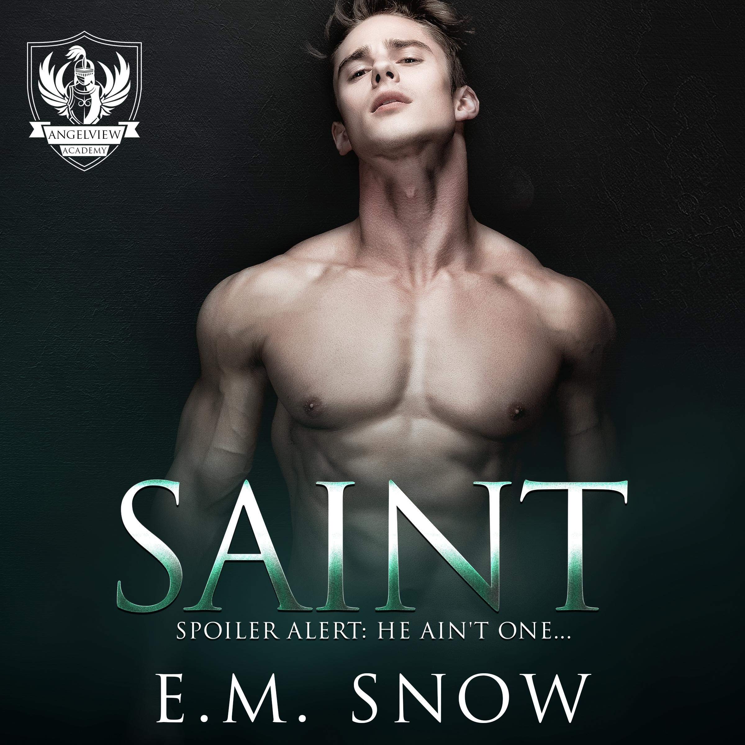 Cover art for Saint: Angelview Academy, Book 1