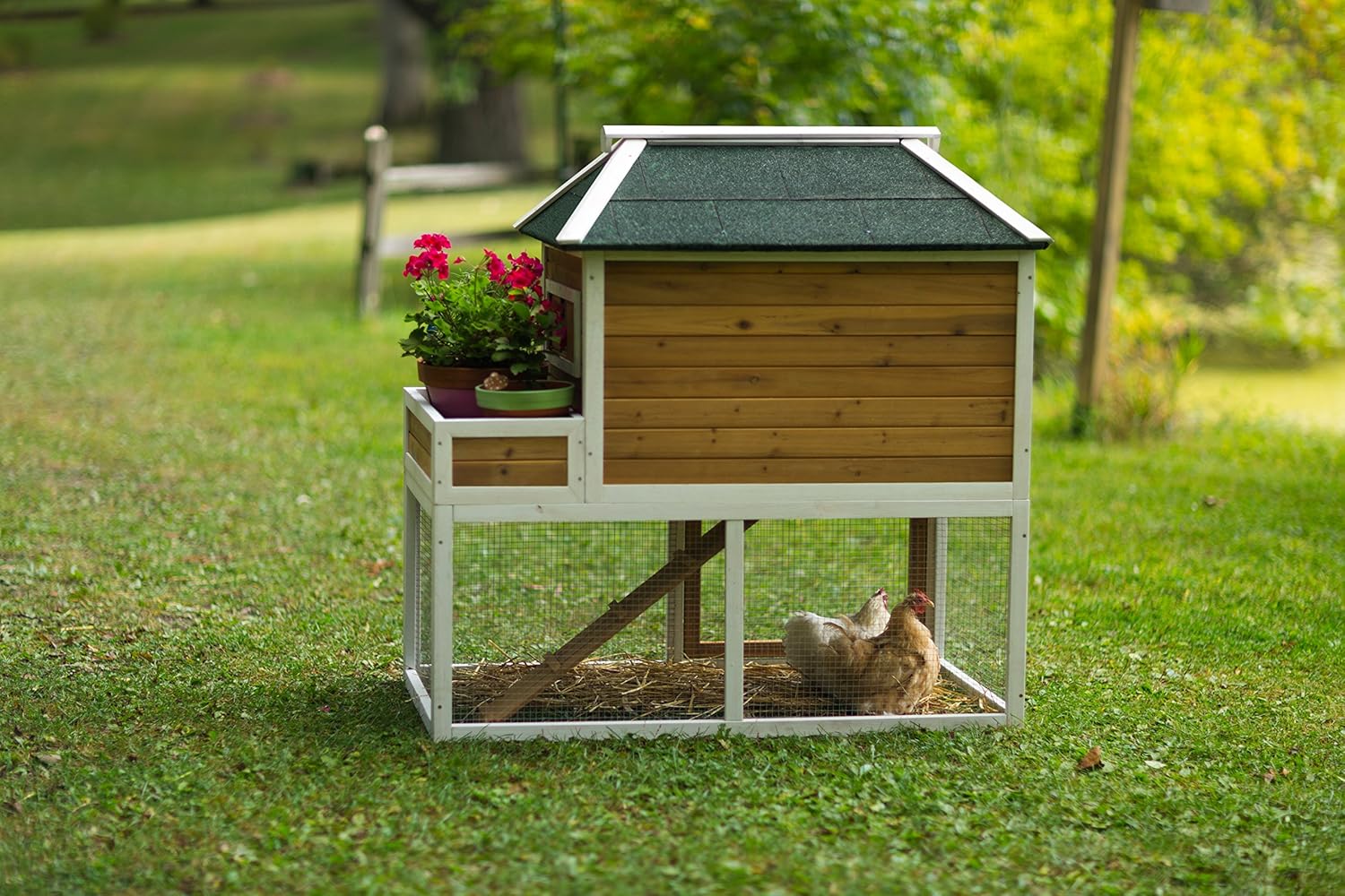 Prevue Pet Chicken Coop - Image 11