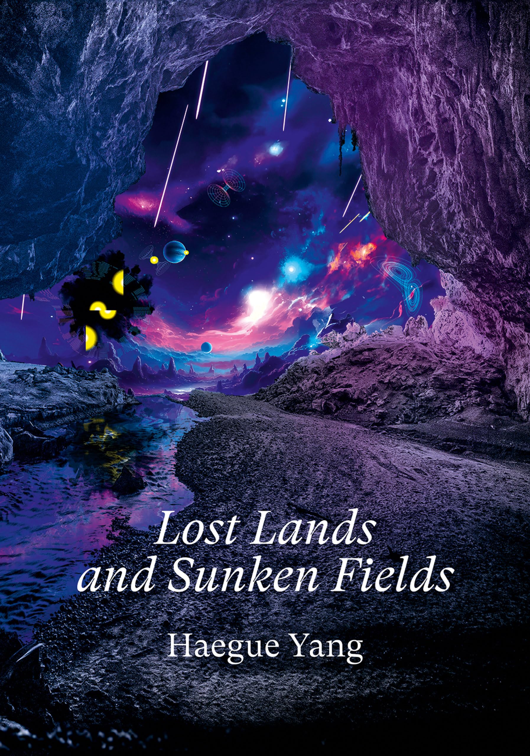 Livre Haegue Yang Lost Lands and Sunken Fields en anglais pour collectionneurs d'art