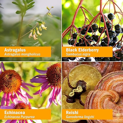 Miniatura 3 de Herb Pharm Fórmula de hierbas líquida de fortalecimiento inmunológico sin alcohol para niños 1 onza