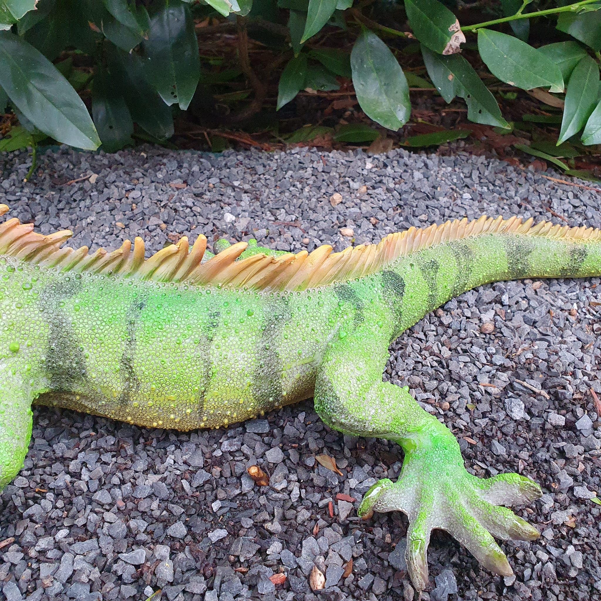 Gartenfigur Leguan 60 cm grün-braun flach breit – wetterfeste Leguanfigur Großformat gespreizt, Reptil Garten Deko Kunstharz