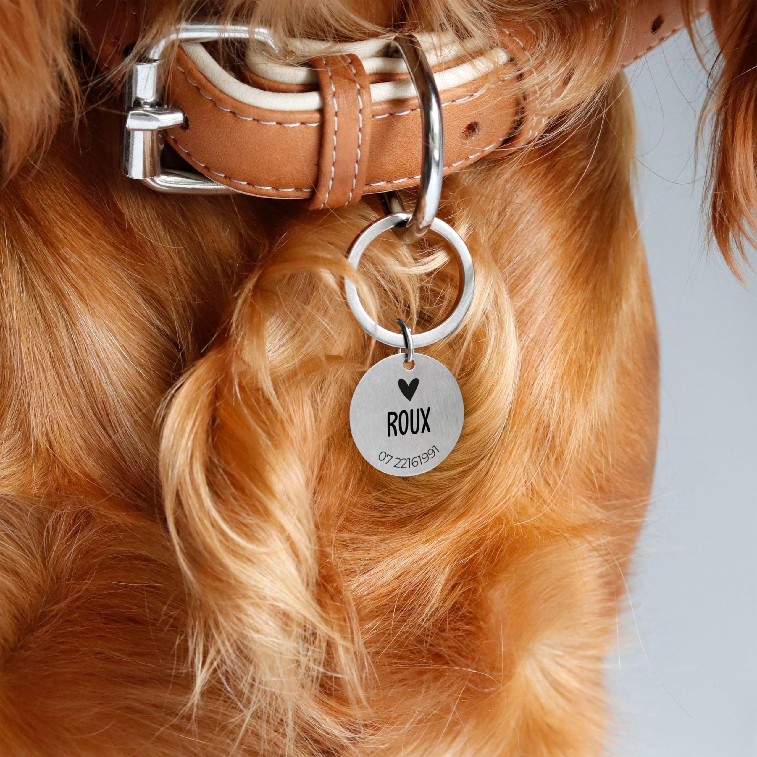 LAUBLUST Médaille pour chien personnalisée avec gravure pour collier - Tailles S, M, L | Cadeau personnalisé avec nom pour chiens et leurs maîtres - Accessoire pour chien | Boîte cadeau incl.