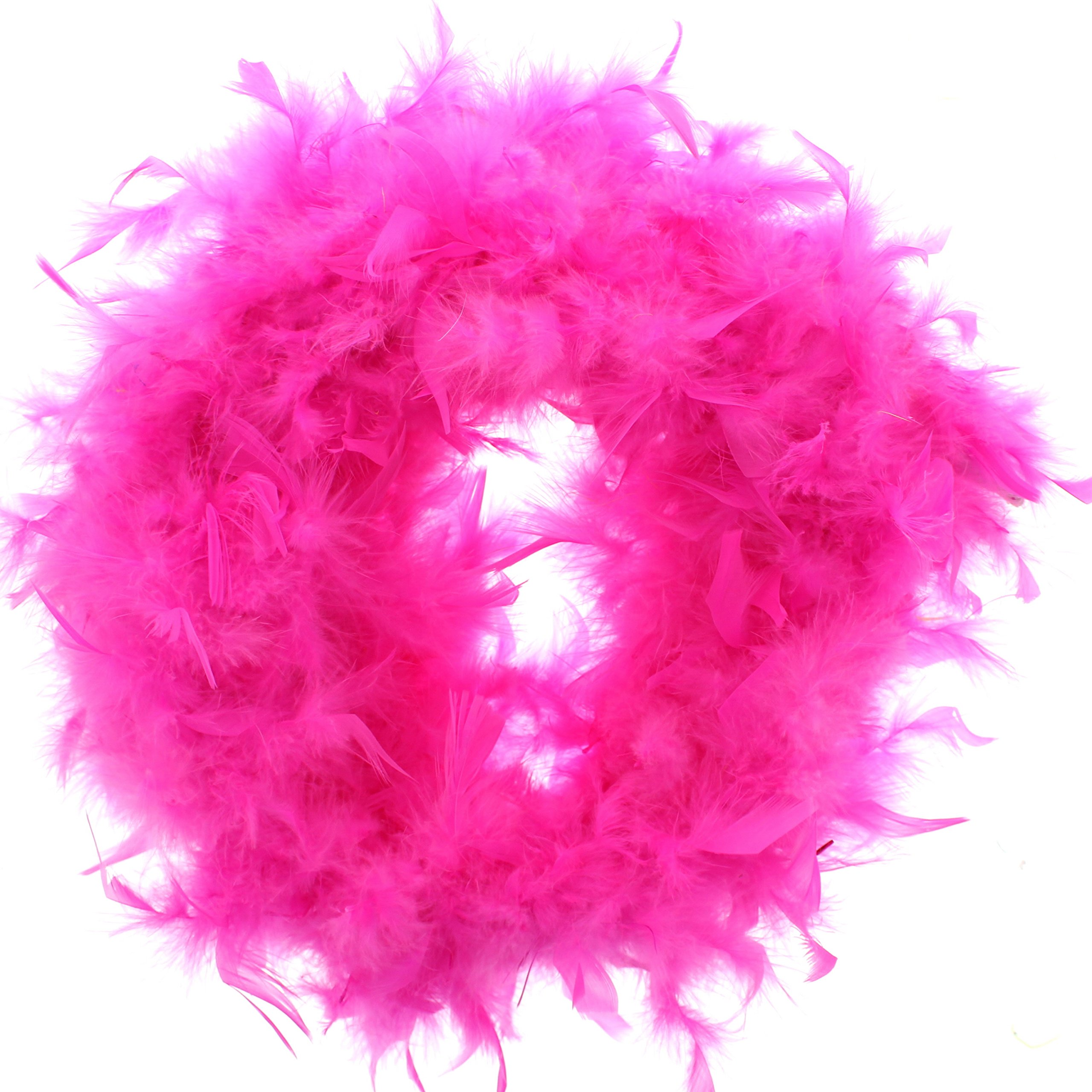 Zac's Alter Ego Fancy Dress Feather Boa - Great for Burlesque/Hen Dos — image 1