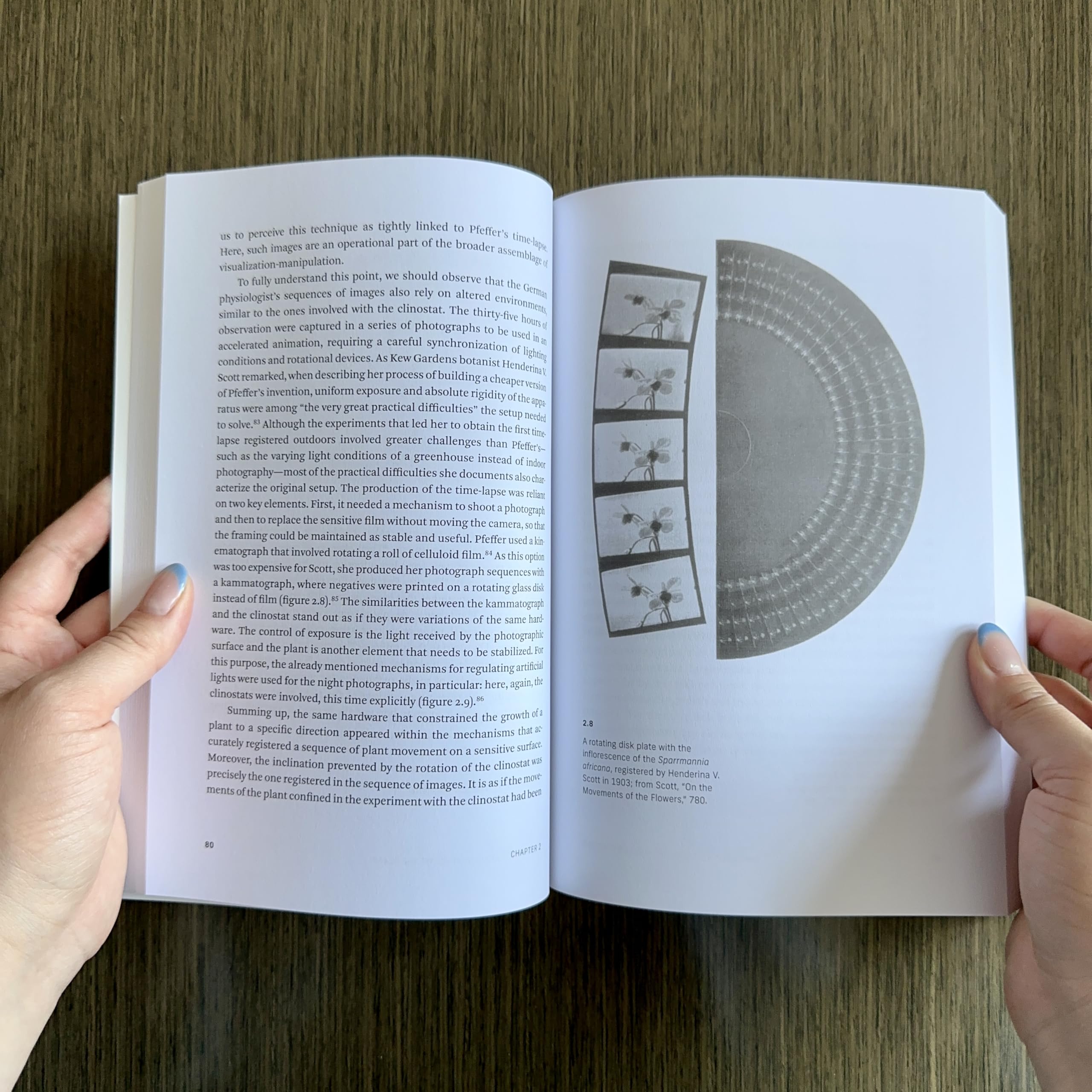 Living Surfaces: Images, Plants, and Environments of Media (Leonardo)