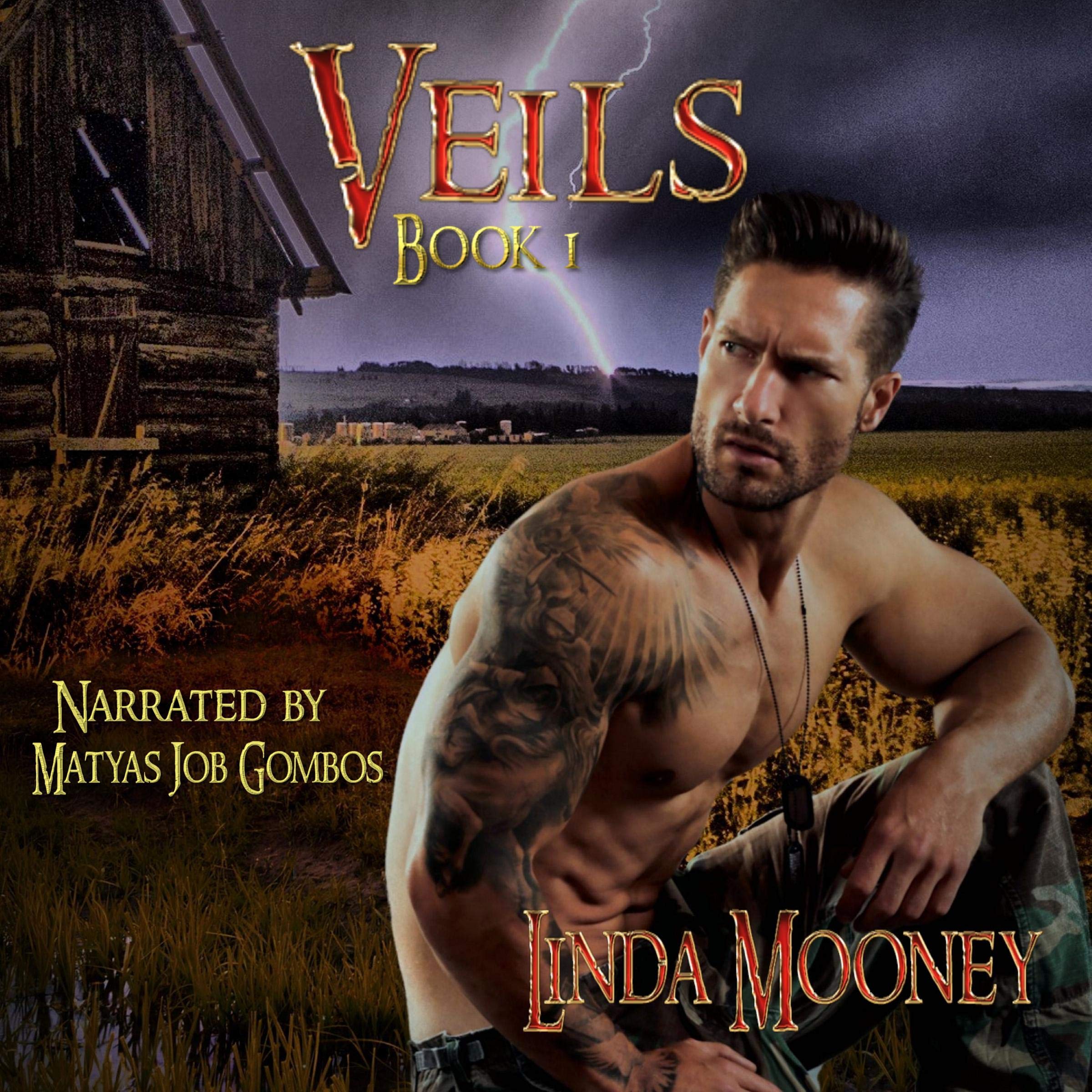 Cover art for Veils