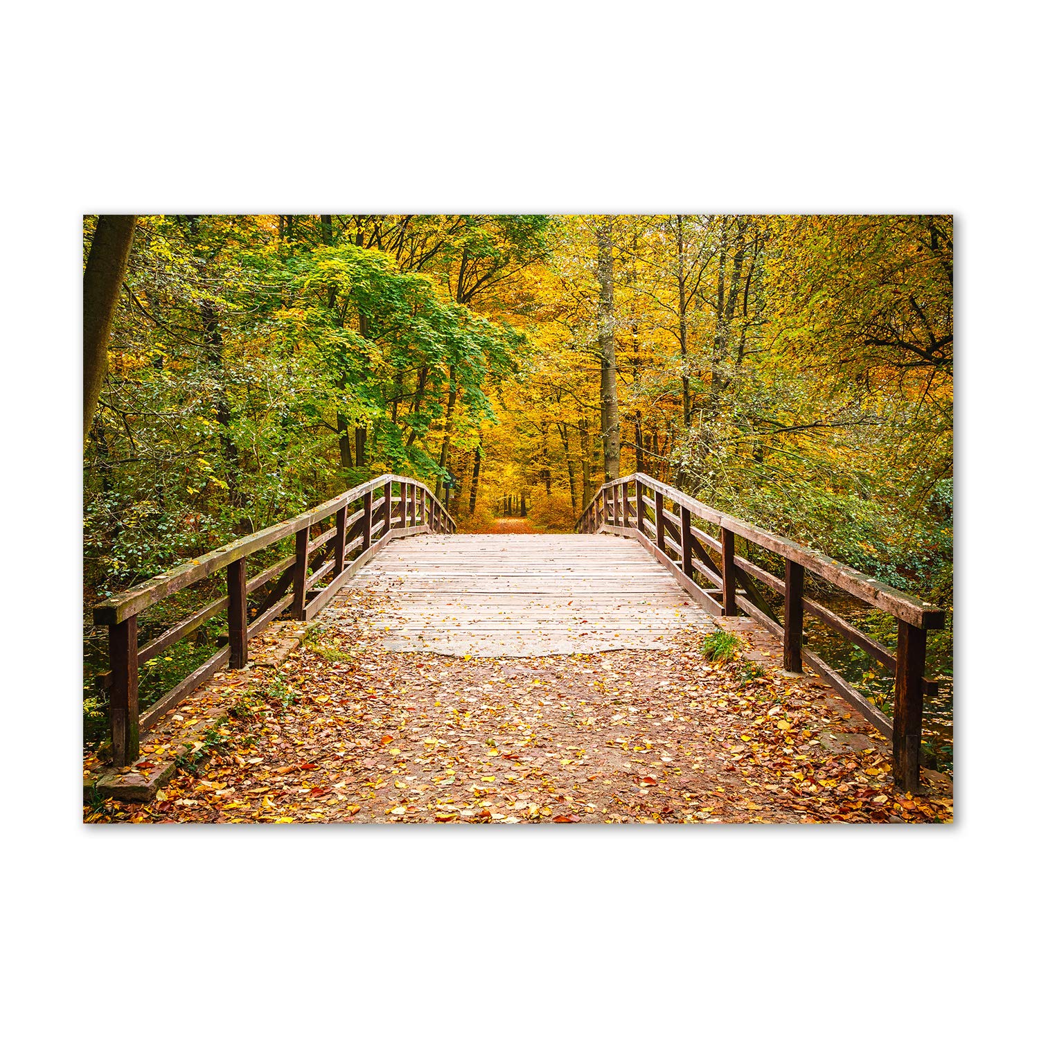 Image verre acrylique jaune pont en forêt tableau incassable