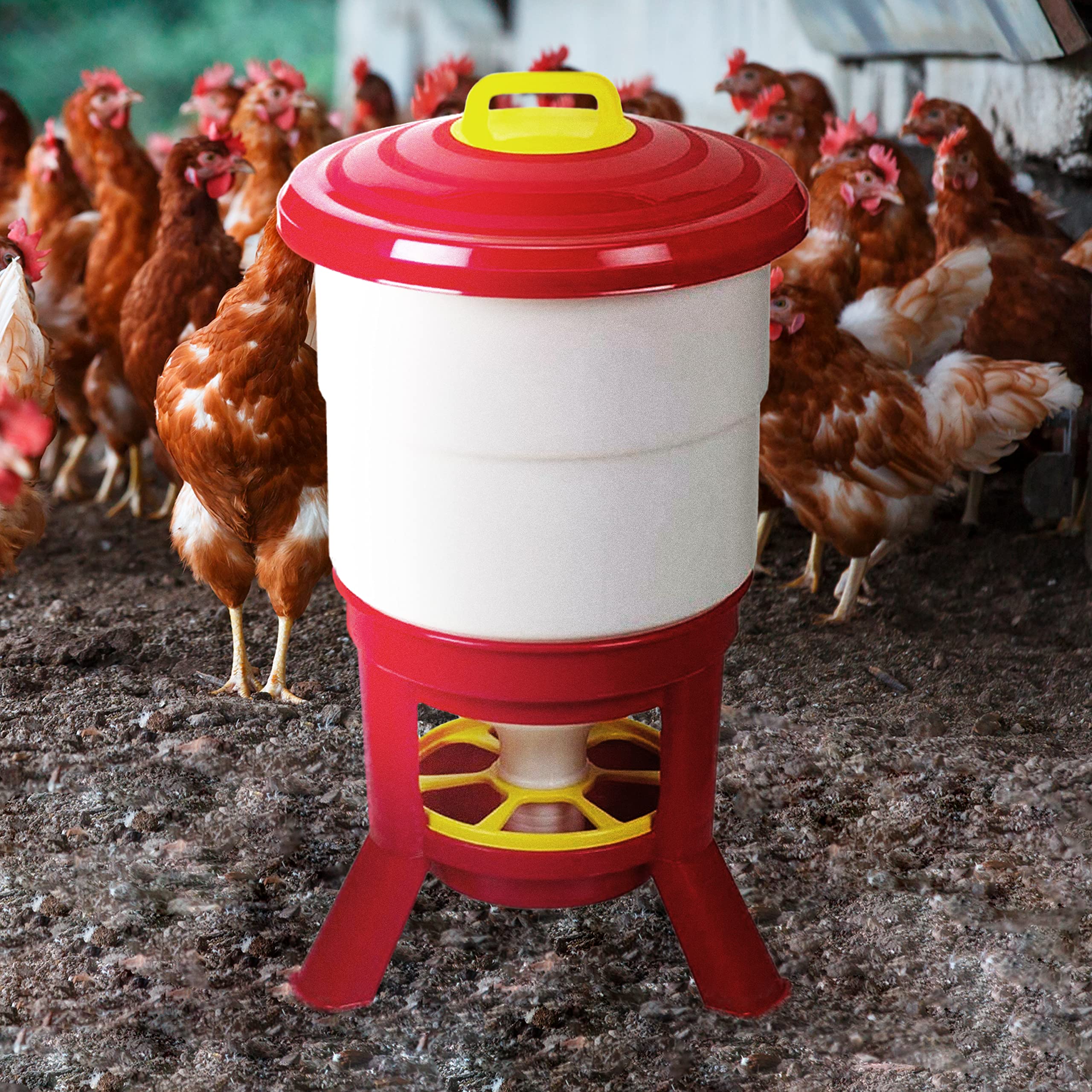 FINCA CASAREJO Tolva Gallinas SILO Premium 50 L - Comedero Grande con Patas para Aves de Corral - Tolva de Gran Capacidad para gallinas, Fabricada en plástico Resistente