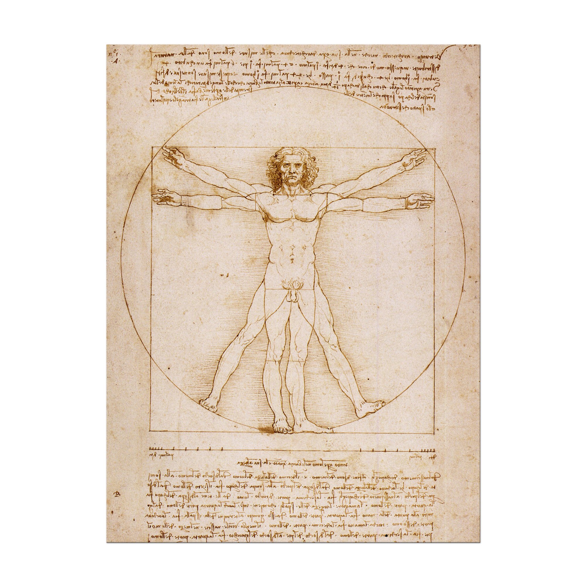 Art Print - vieux maîtres - Leonardo da Vinci - Homme de Vitruve - 60x80 cm
