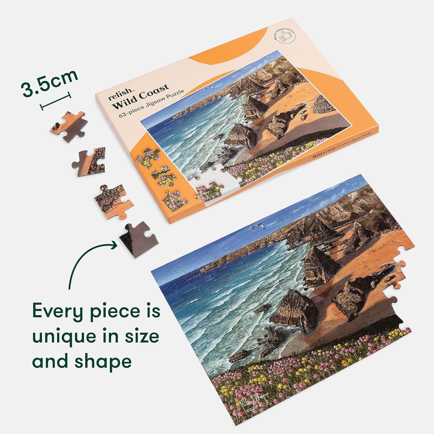 Relish 63 Piece Wild Coast Dementia Jigsaw Puzzle Dementia Activities