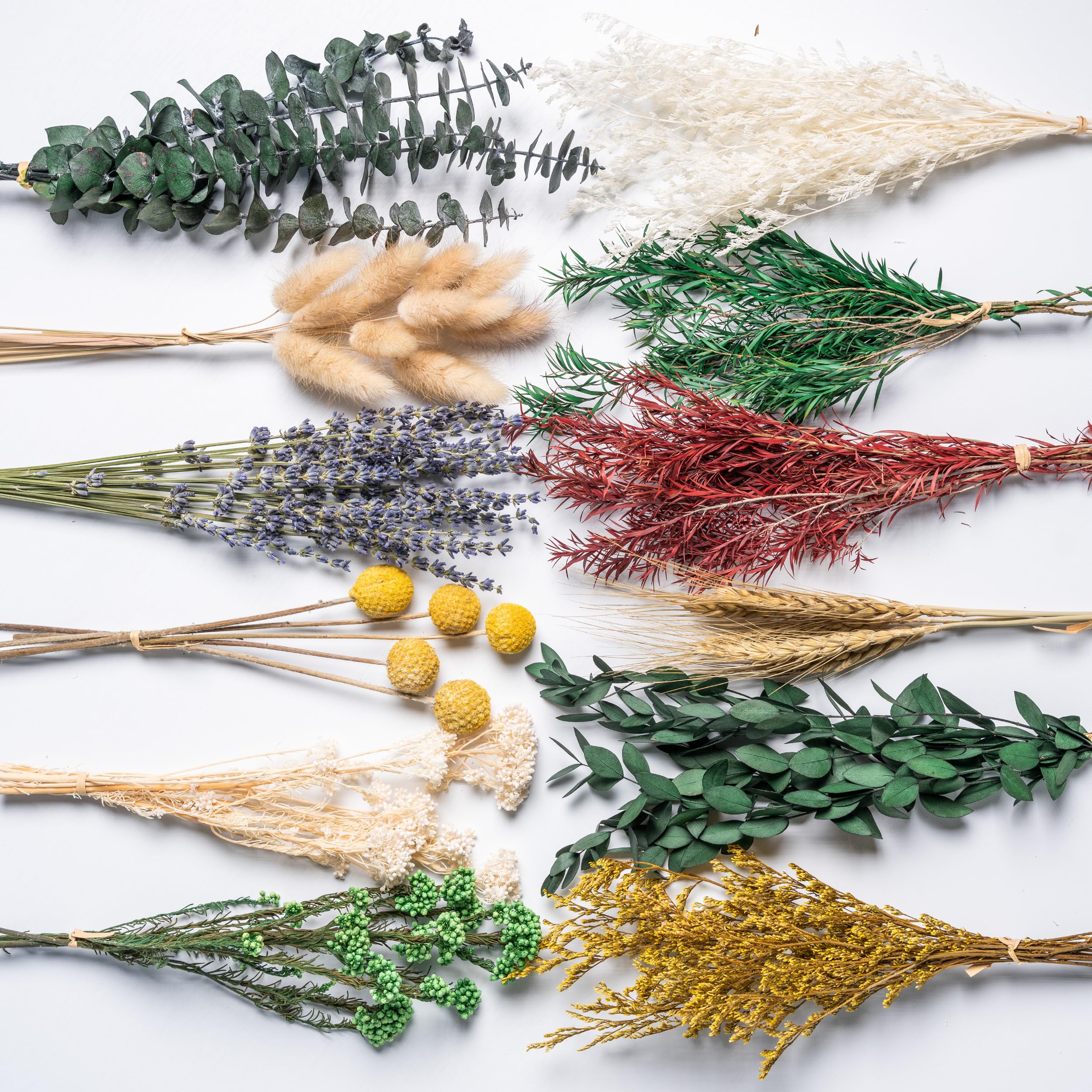 PAMDECOR 12Kinds Natural Dried Flowers DIY Kit