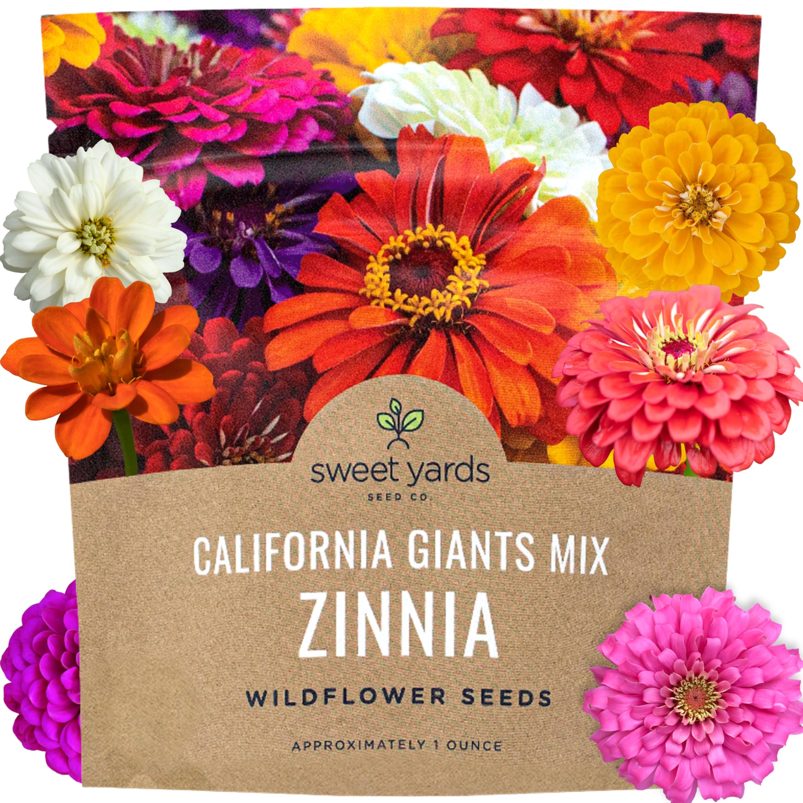 Zinnia Seeds - California Giants Mix - Large 1 Ounce Packet - 3,000 Flower Seeds - Mixed Colors and Large Blooms
