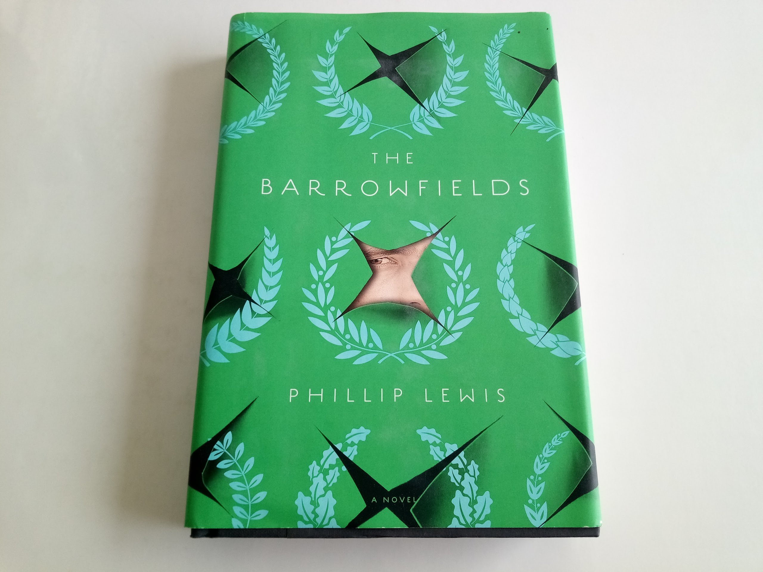 Buy The Barrowfields โ BookShops.in