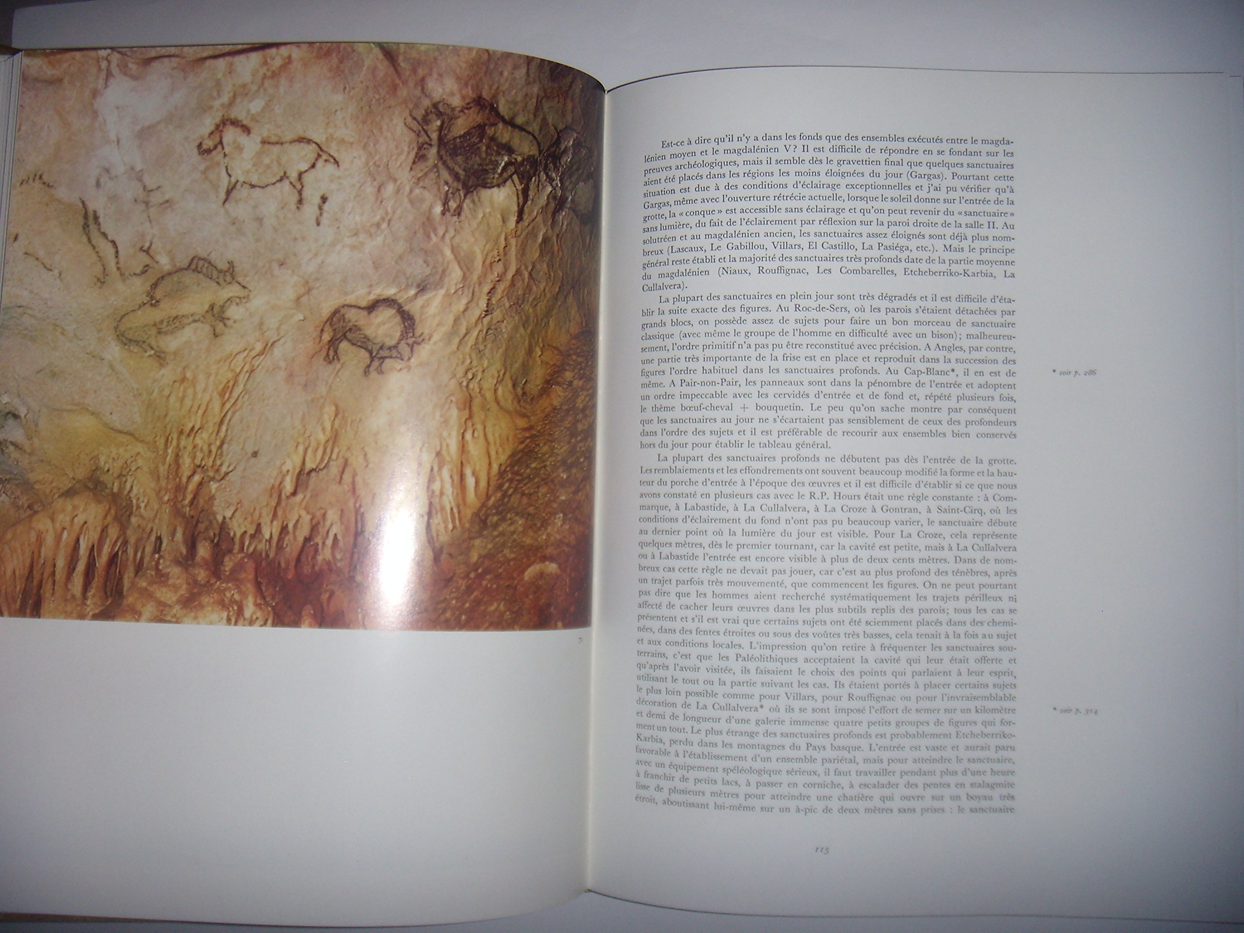 Amazon.com: André Leroi-Gourhan: books, biography, latest update