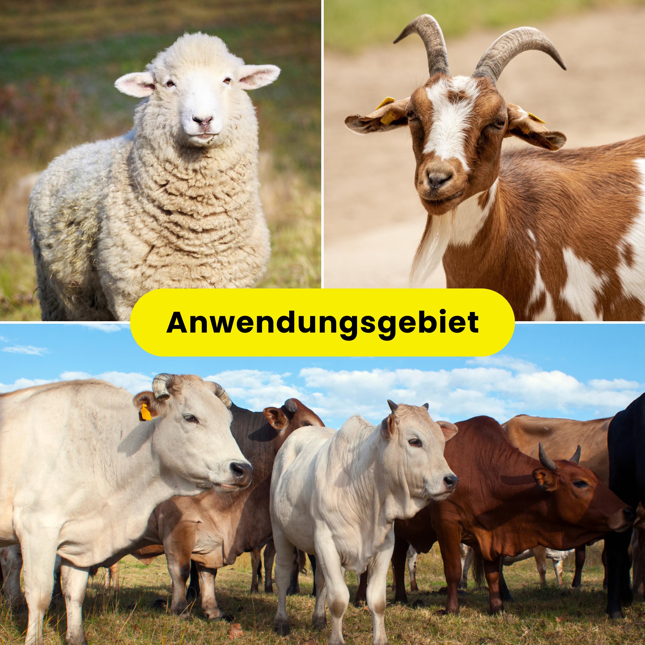 Weidezaunlitze ZEBRA 1000m für den Weidezaun Wildschutzzaun mit Kupferleiter Wildschwein Hirsch Rind