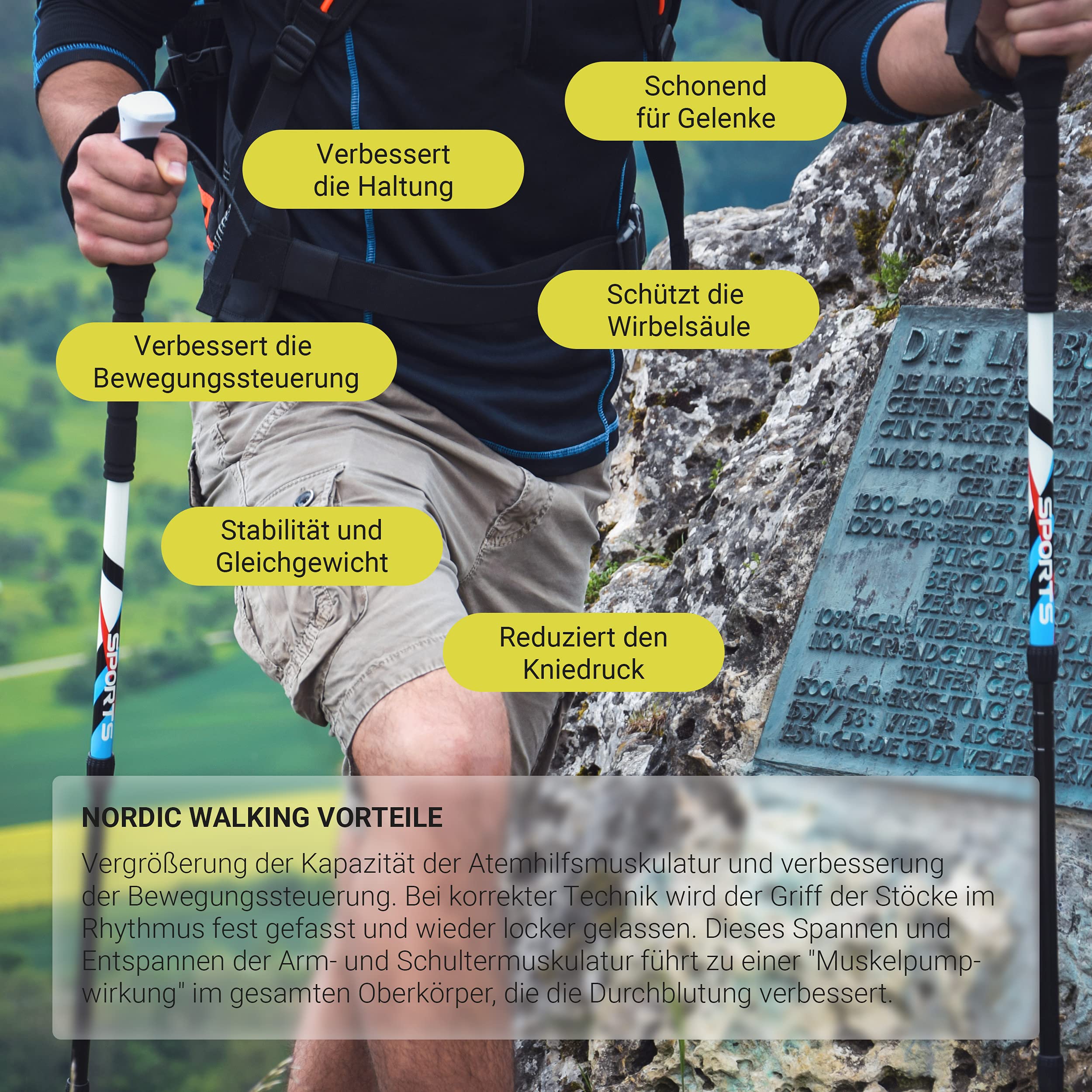 Nordic Walking - Trekking Carbon Stöcke Premium - aus hochwertigem Carbon - Superleicht - auswählbar mit Tragetasche - Nordic Walking - Wanderstöcke