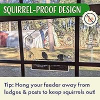 Vista 8 de Comederos de pájaros transparentes para ventanas con vista interior - Comedero de casa de pájaros con ventosas - Comedero de casa de pájaros