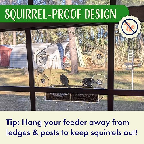Miniatura 8 de Comedero transparente para pájaros para ver la ventana en el interior, comedero de casa de pájaros con ventosas - Comedero para casa de pájaros con