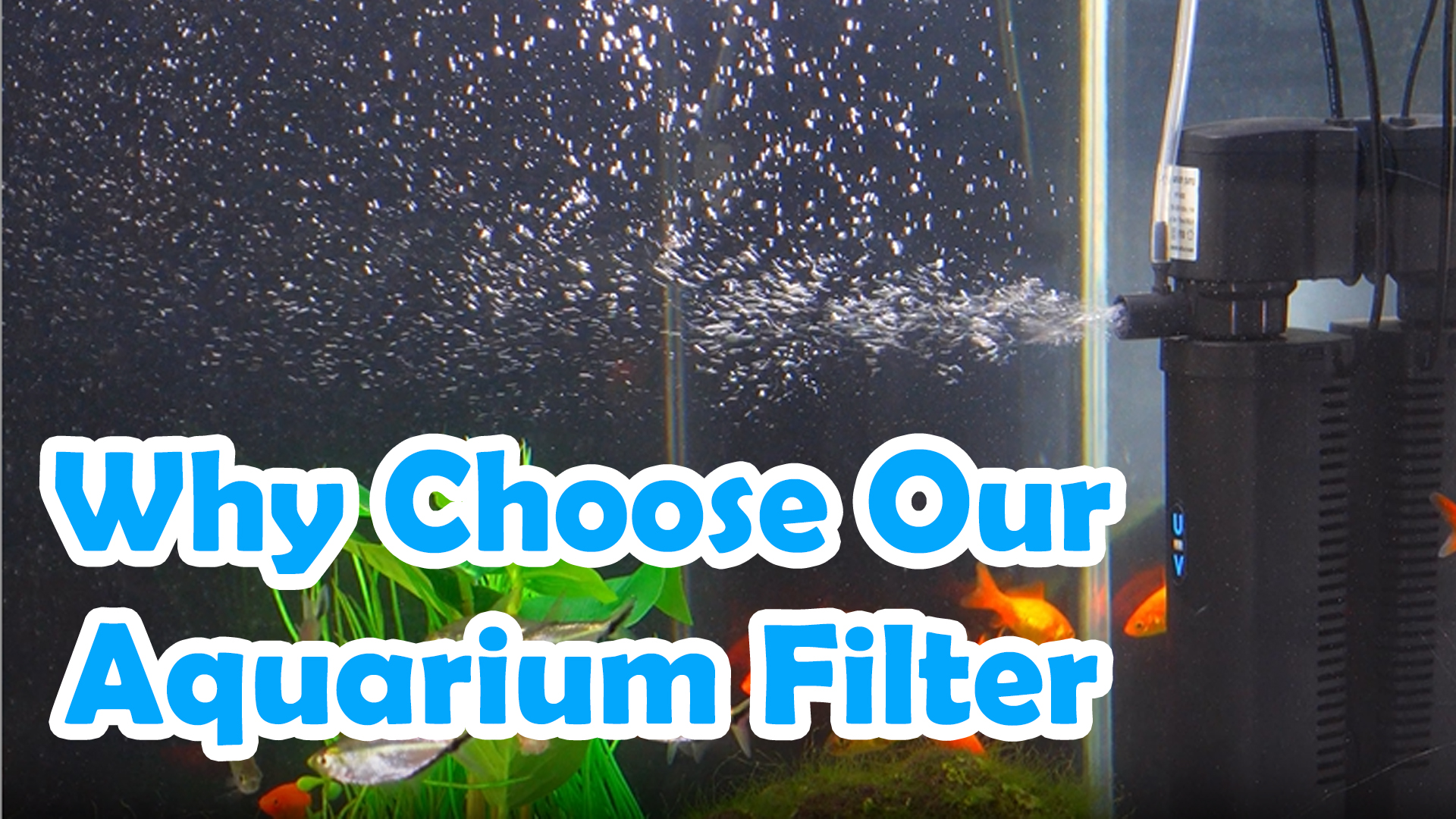 Amazon.com : TARARIUM Aquarium Filter U-V for 20-75 Gallon, 200GPH