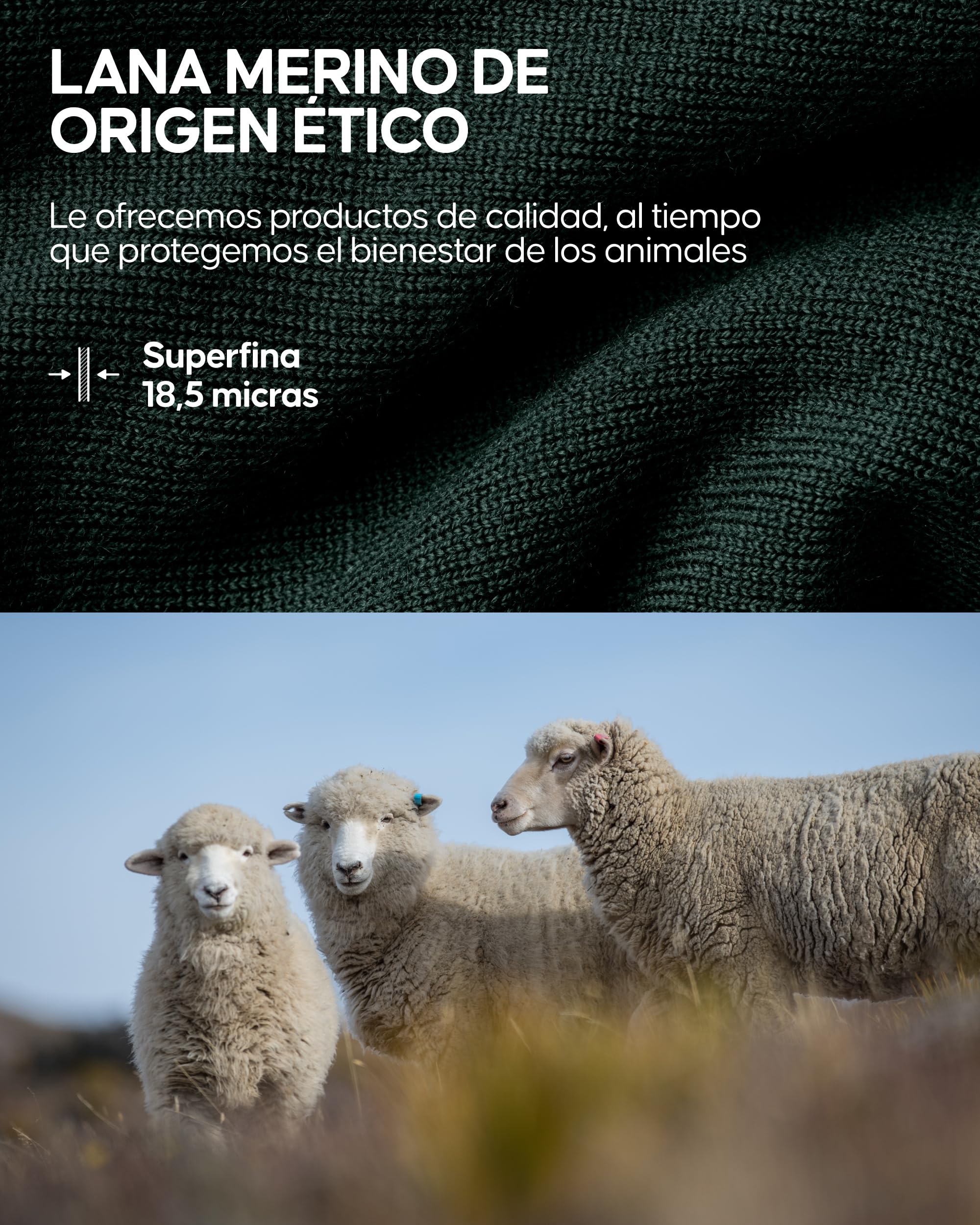 DANISH ENDURANCE Braga de Cuello Térmica de Merino con Forro Polar, Polaina, Balaclava, Calentador de Cuello para Invierno, para Hombres y Mujeres