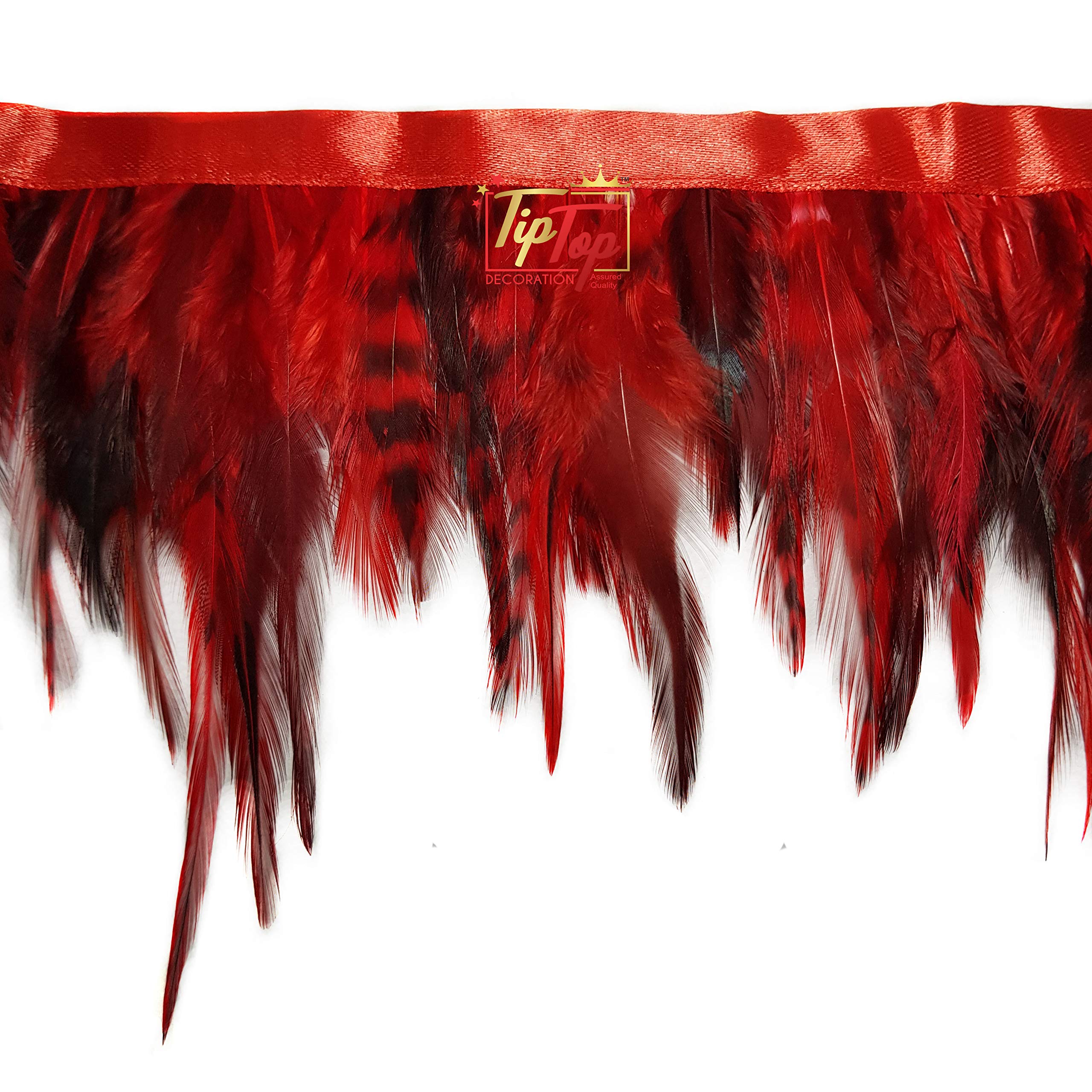 Tiptop Decoration Natural Hackle Pointed Dyed Feathers Trim Fringe Lace (4-5 Inch) (9 Meters) (Imperial Red) 1