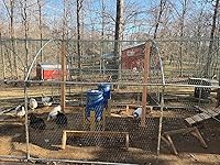 Review Image by Ckkcoach