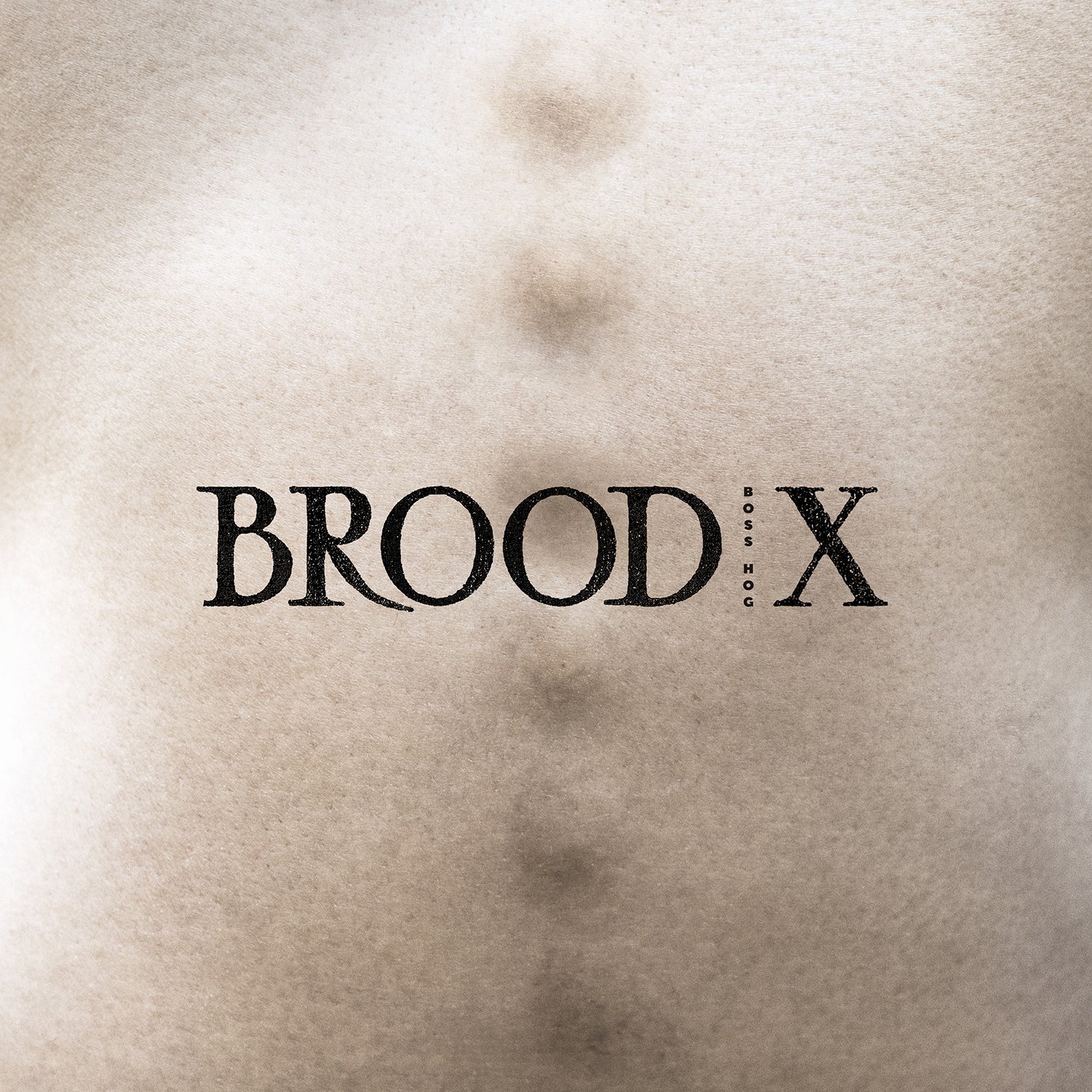 Brood X [VINYL]