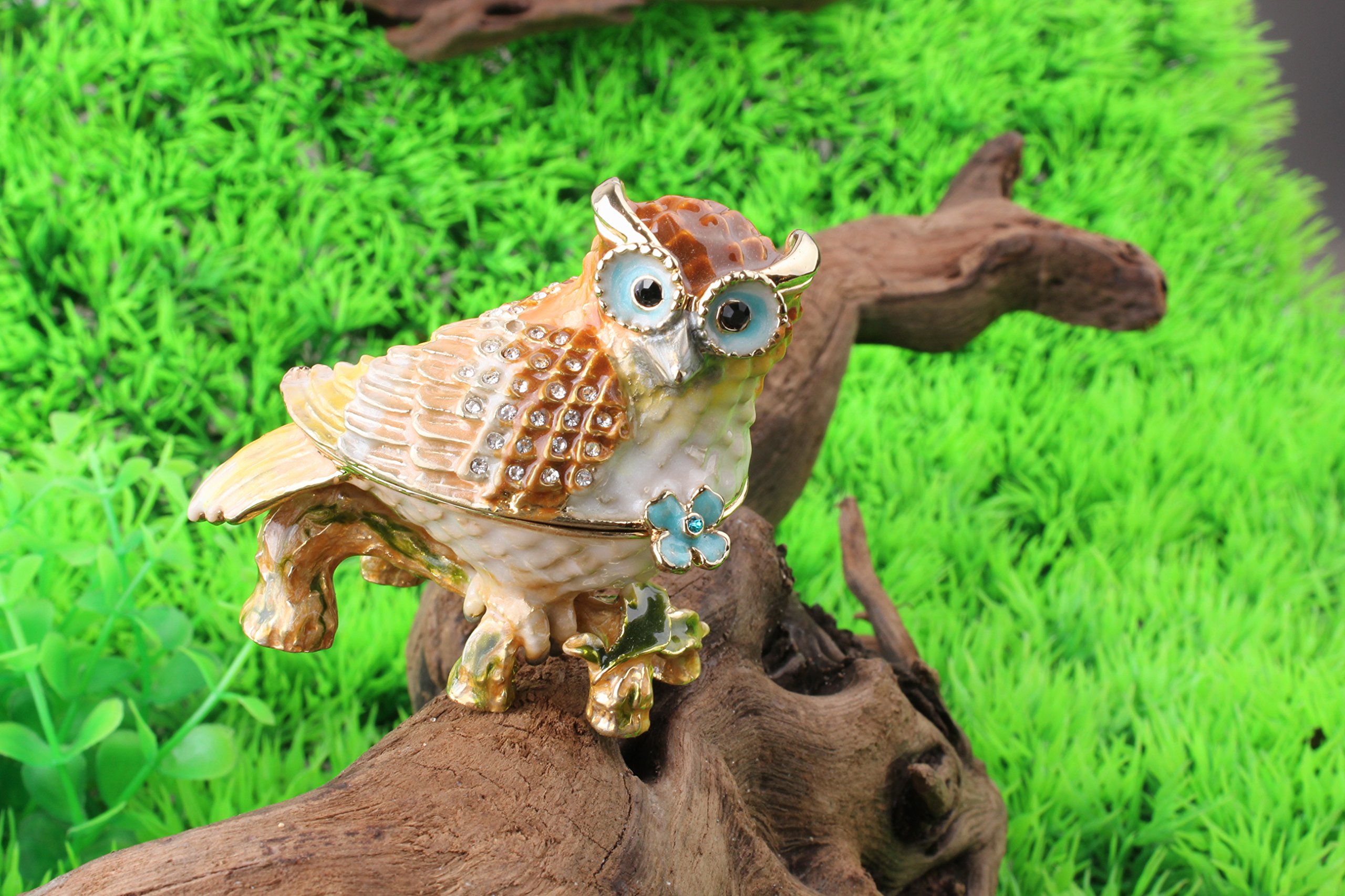 Amazon.co.jp: フクロウTrinket Box Crystal Studdedジュエリー