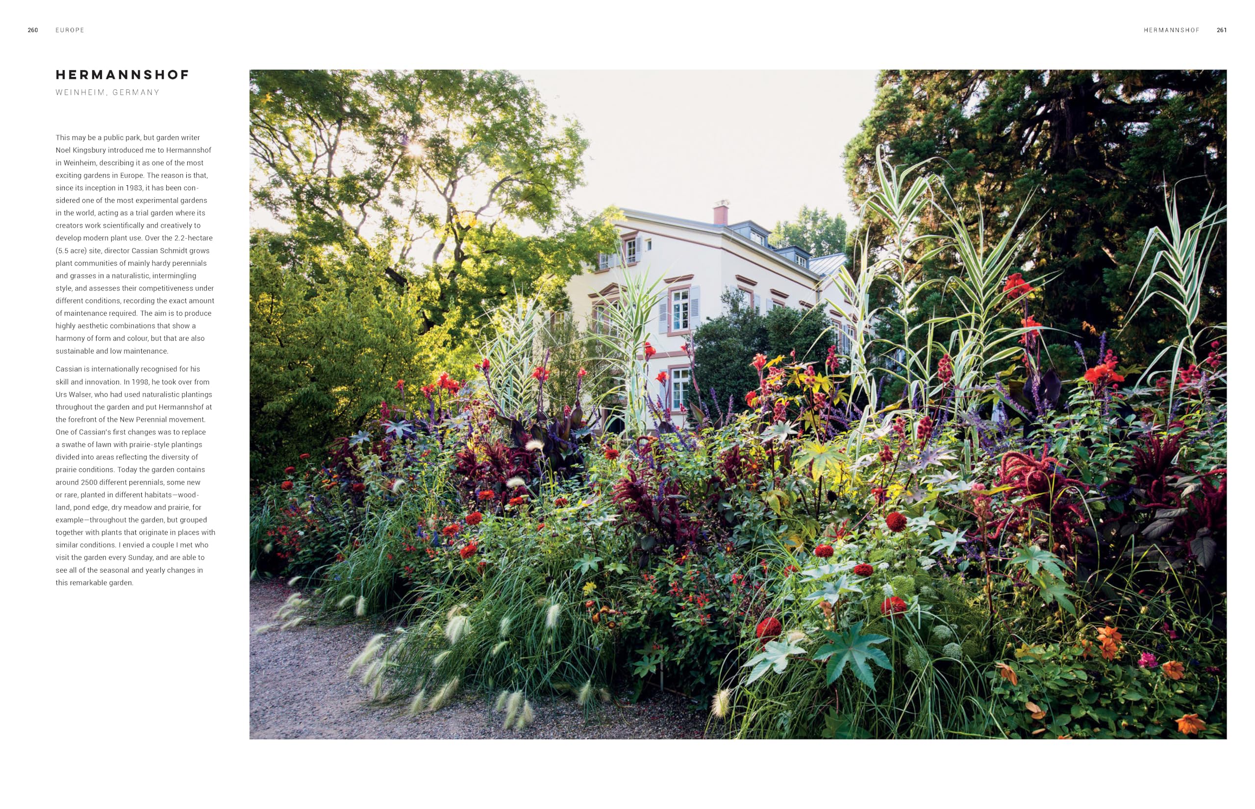 Dreamscapes. Inspiration And Beauty In Gardens Nea: Inspiration and beauty in gardens near and far