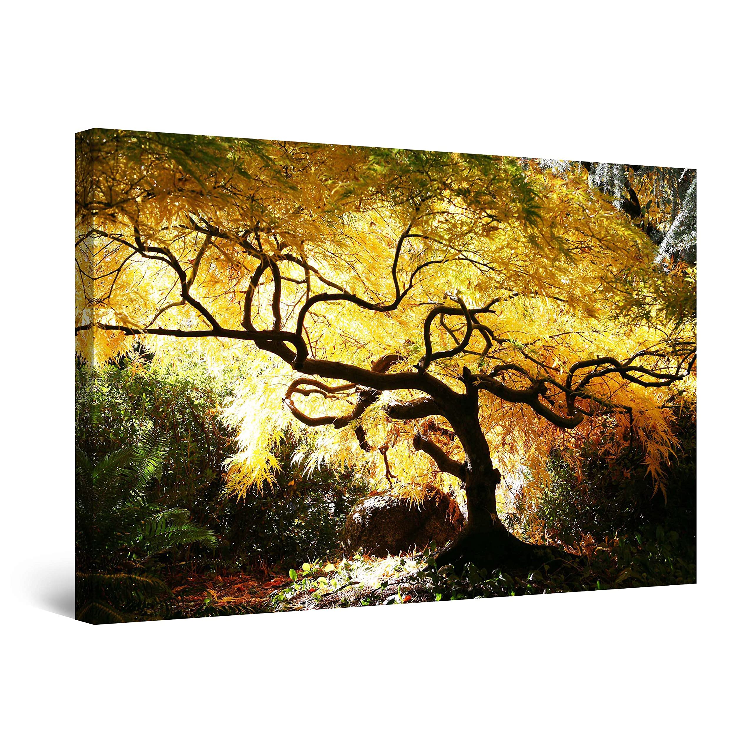 Startonight Wall Art Canvas Canadian Maple, Trees Forest Nature Landscape Picture for Bedroom Photo Framed 24 x 36 Inches
