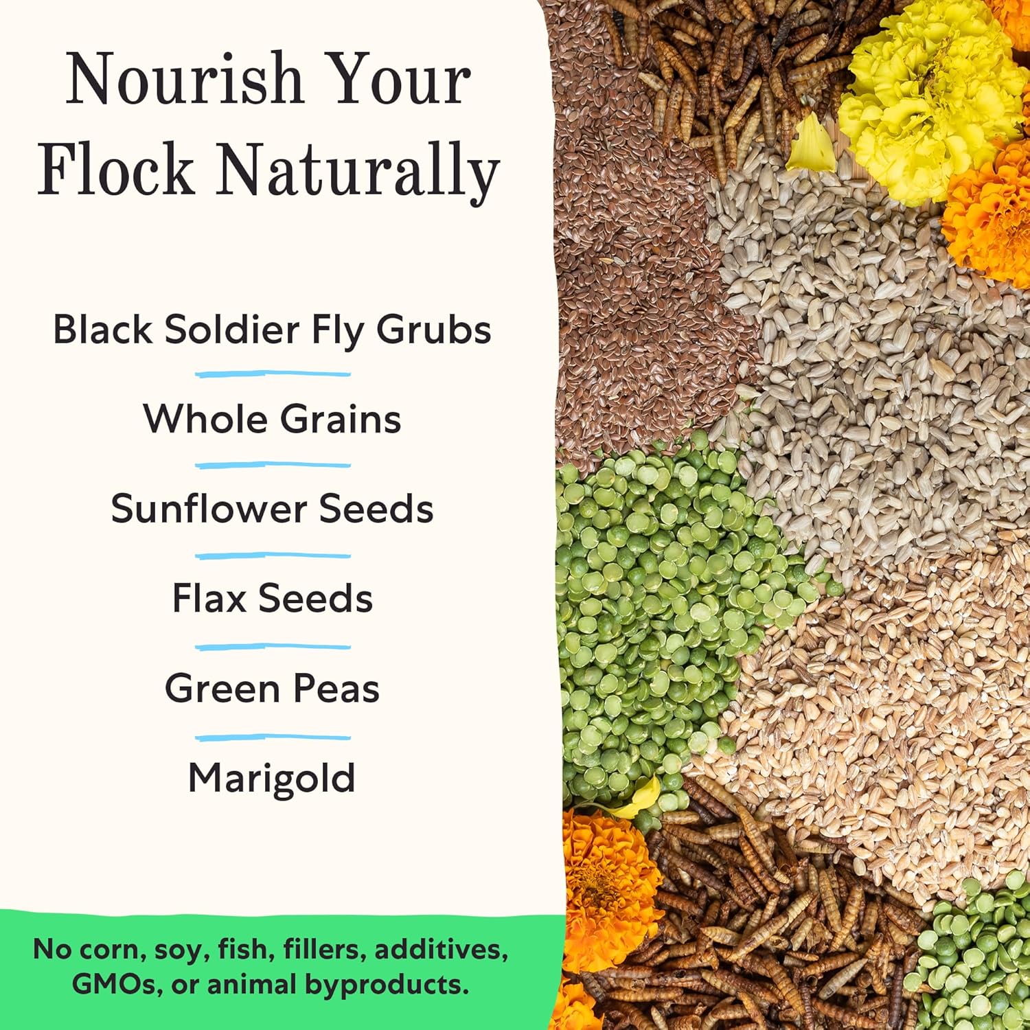 Grubbly Farms Fresh Pecks Layer Chicken Feed Pellets - 16% Layer Feed for 20+ Week Old Hens, Batams, and Larger Breeds - Contains Black Soldier Fly Grubs - No Soy, Corn, or Fish - 30 lb Bag