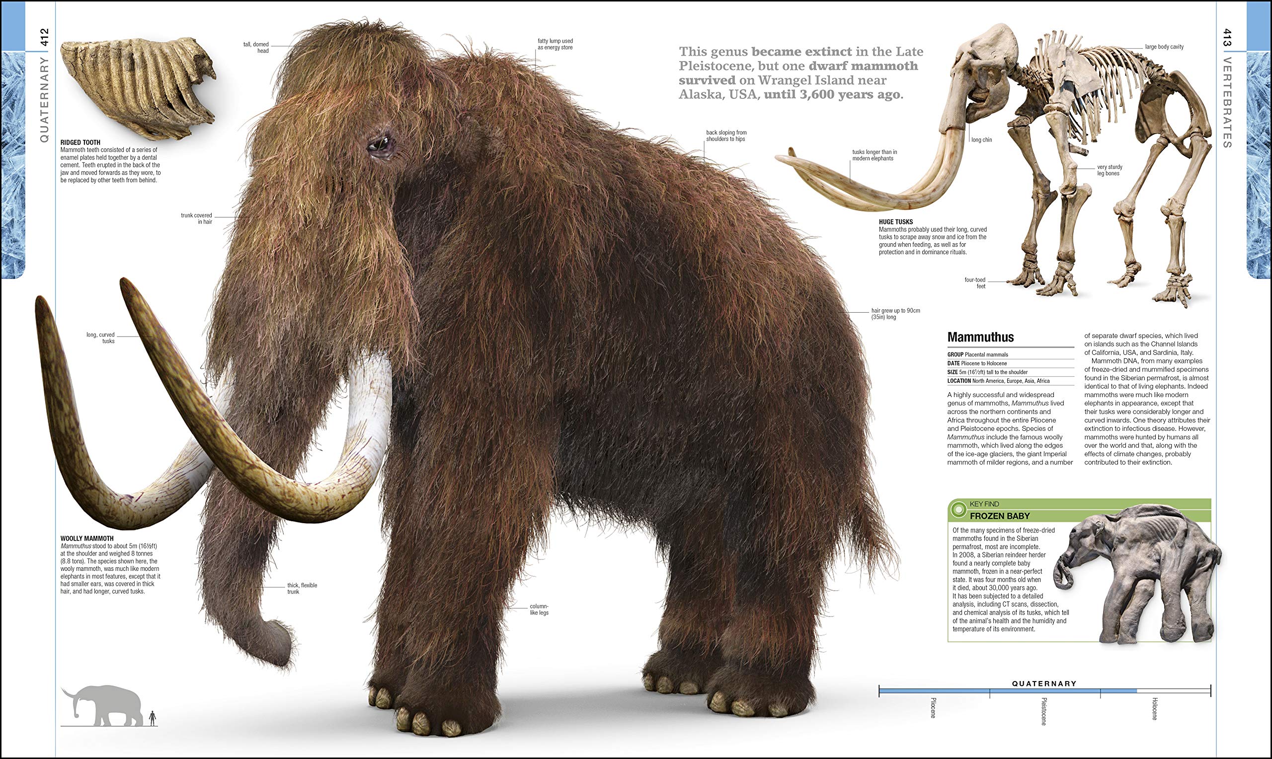 Dinosaurs and Prehistoric Life: The Definitive Visual Guide to Prehistoric Animals