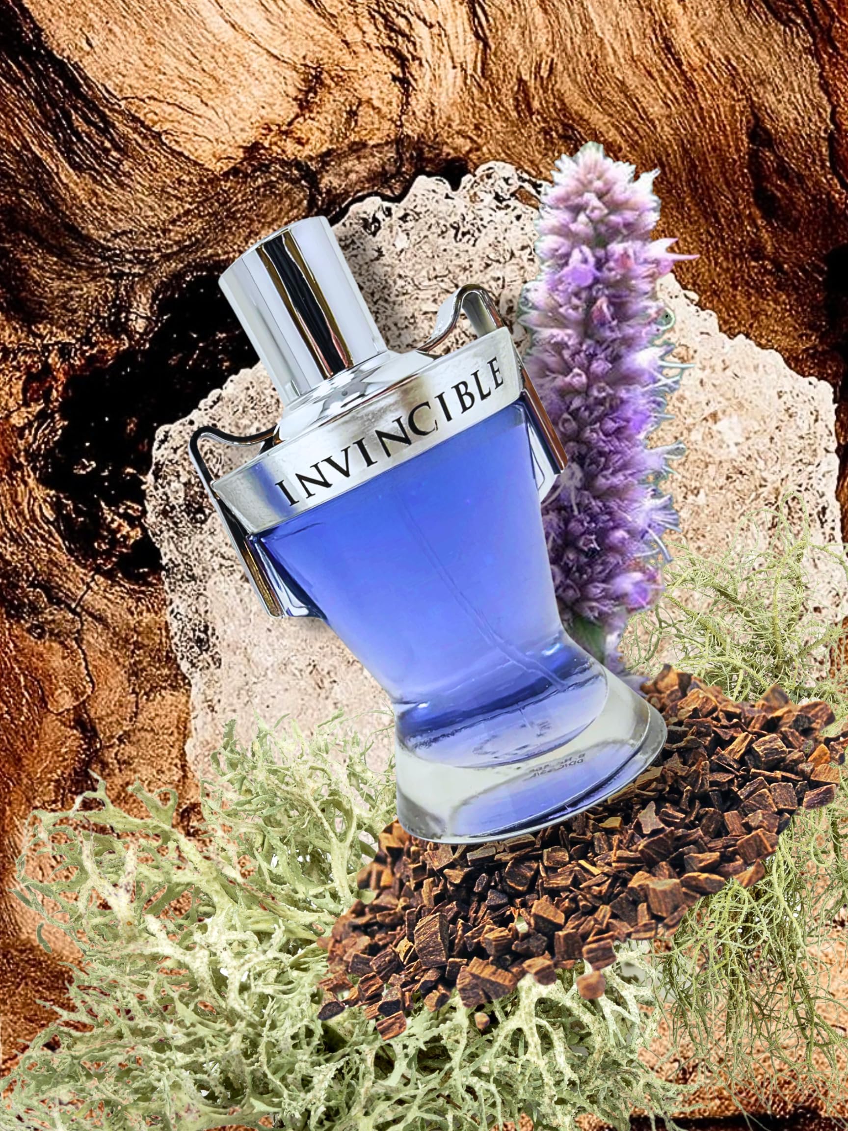 Amazon.com : INVINCIBLE POUR HOMME EAU DE TOILETTE 3.4 FL. Oz