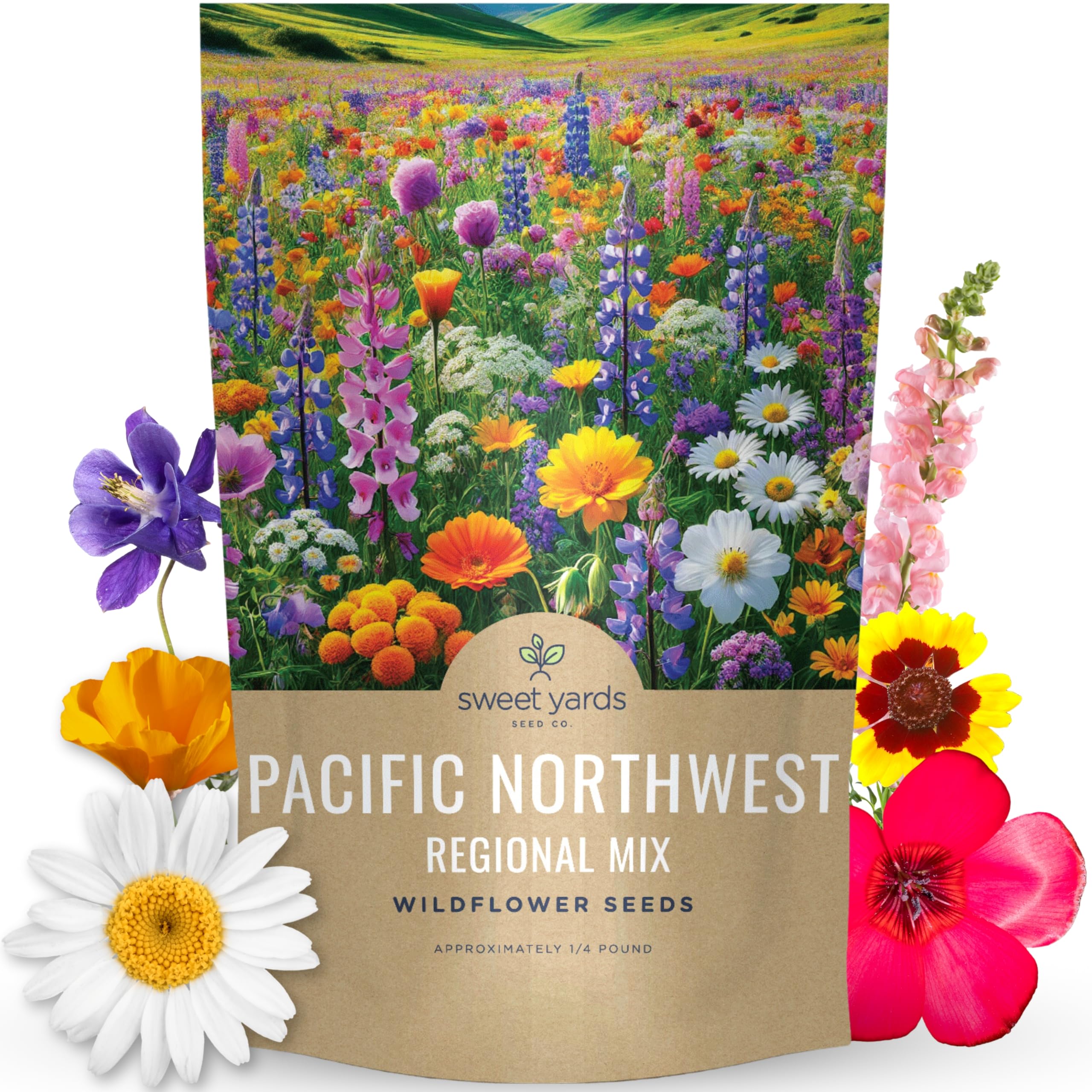 Amazon.com : Pacific Northwest Regional Mix - Bulk 1/4 Pound Pouch - 96,000 Flower  Seeds for Planting - Wildflower Mix : Patio, Lawn & Garden