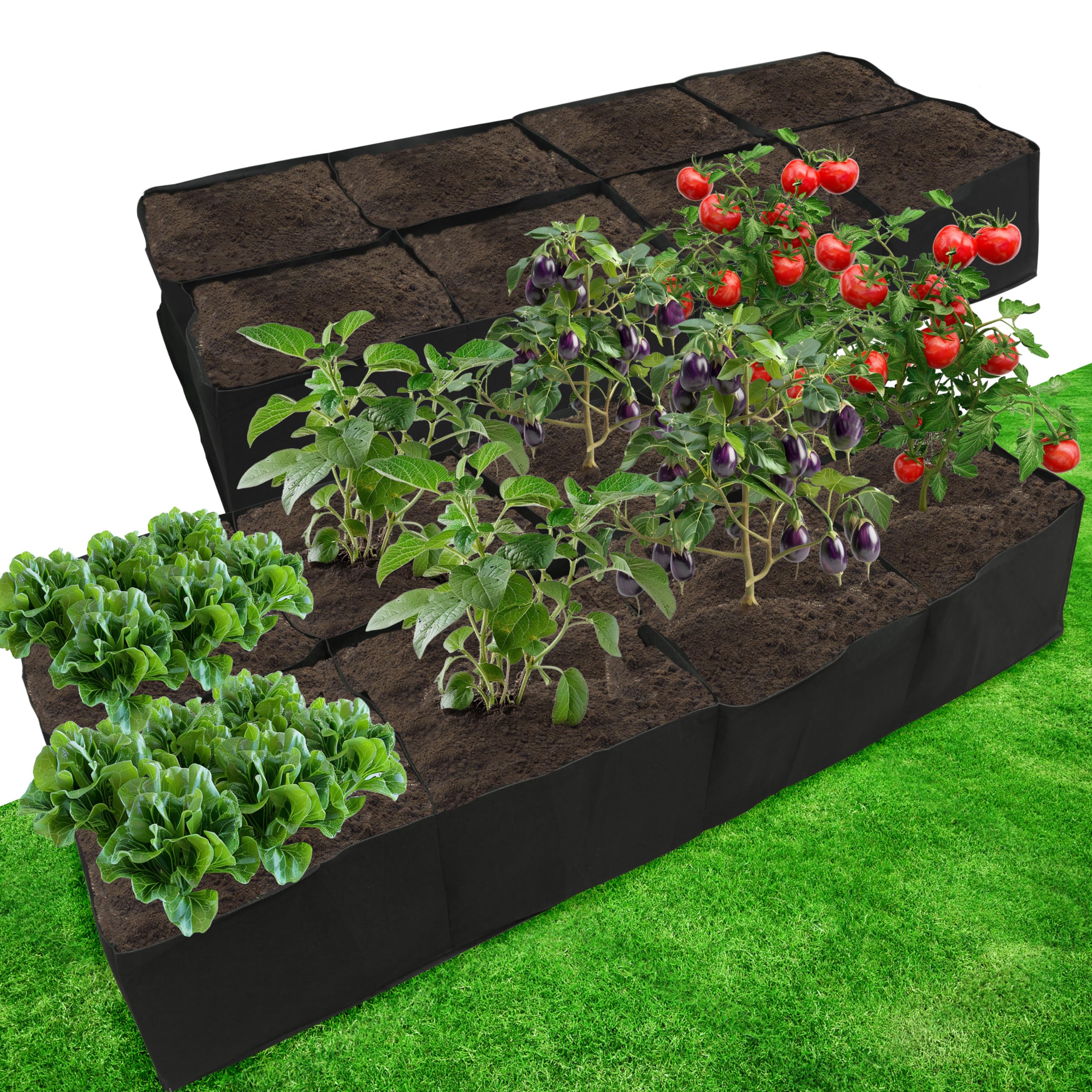 Amazon.com: Gardzen 2 Pack Fabric Raised Garden Beds, 2x4x1 FT - 8
