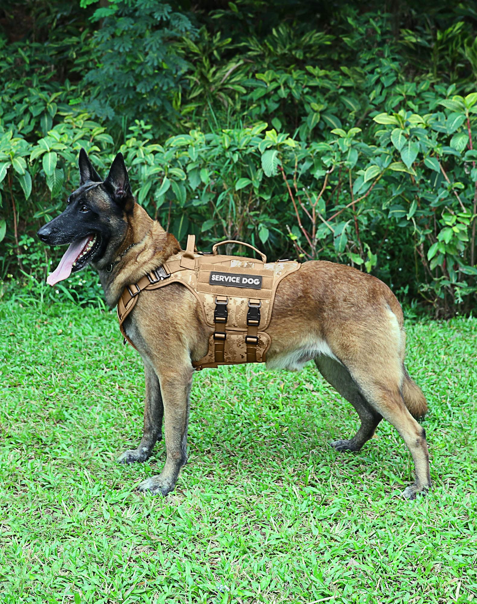 PETNANNY Pettorina tattica per cani, anti-tiro, per razze grandi, con pannello patch in velcro e sistema MOLLE, manico imbottito per passeggiate, escursionismo e allenamento (colore: mimetico deserto