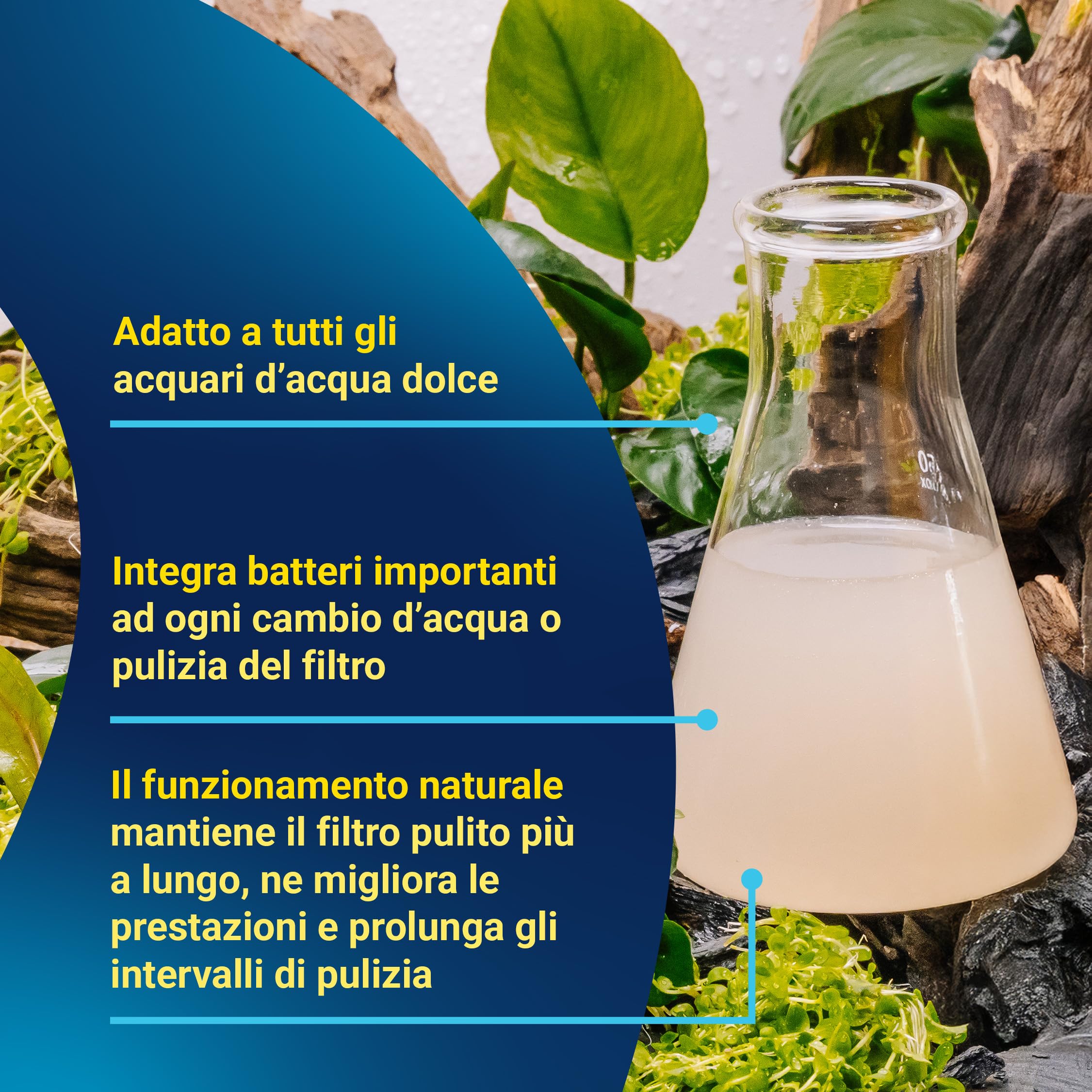 Tetra FilterActive 250 ml Contiene Batteri Vivi che Attivano il Filtro e che Riducono l'Accumulo di Impurità, Mantiene il Filtro Biologicamente Attivo