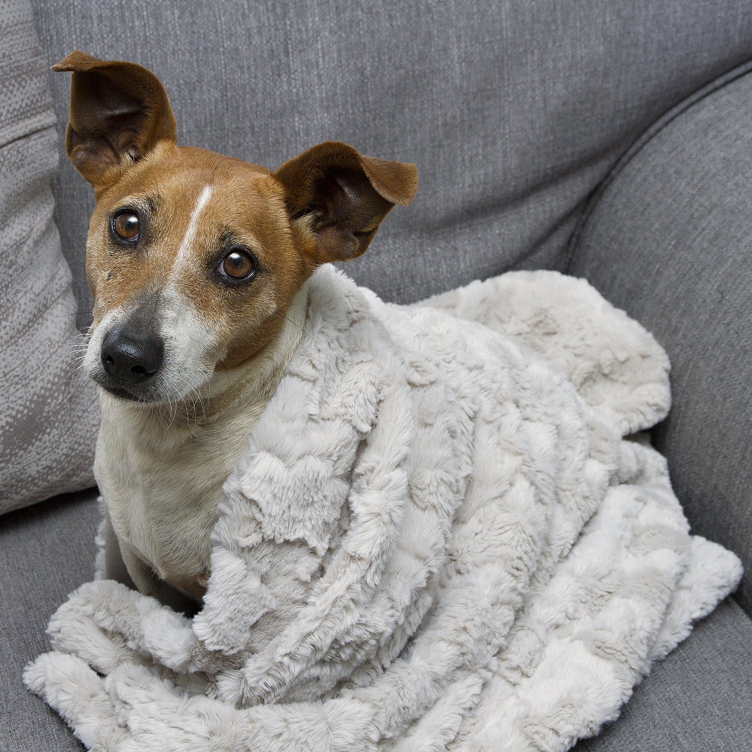 Premium Embossed Fluffy Super Soft Warm Double Sided Faux Fur Pet Dog Cat Kitten Puppy Blanket Bed Couch Kennel (29" x 43") Stone Natural Latte Beige