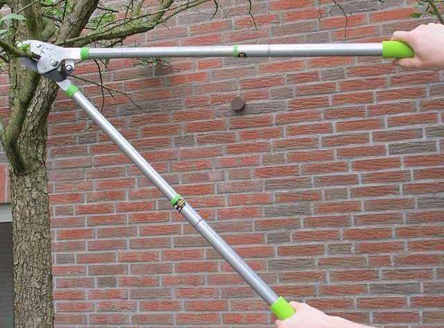 Tooltime Professional Aluminium Ratchet Anvil Loppers with Telescopic Extending Handles and Non-Slip Cushion Grips