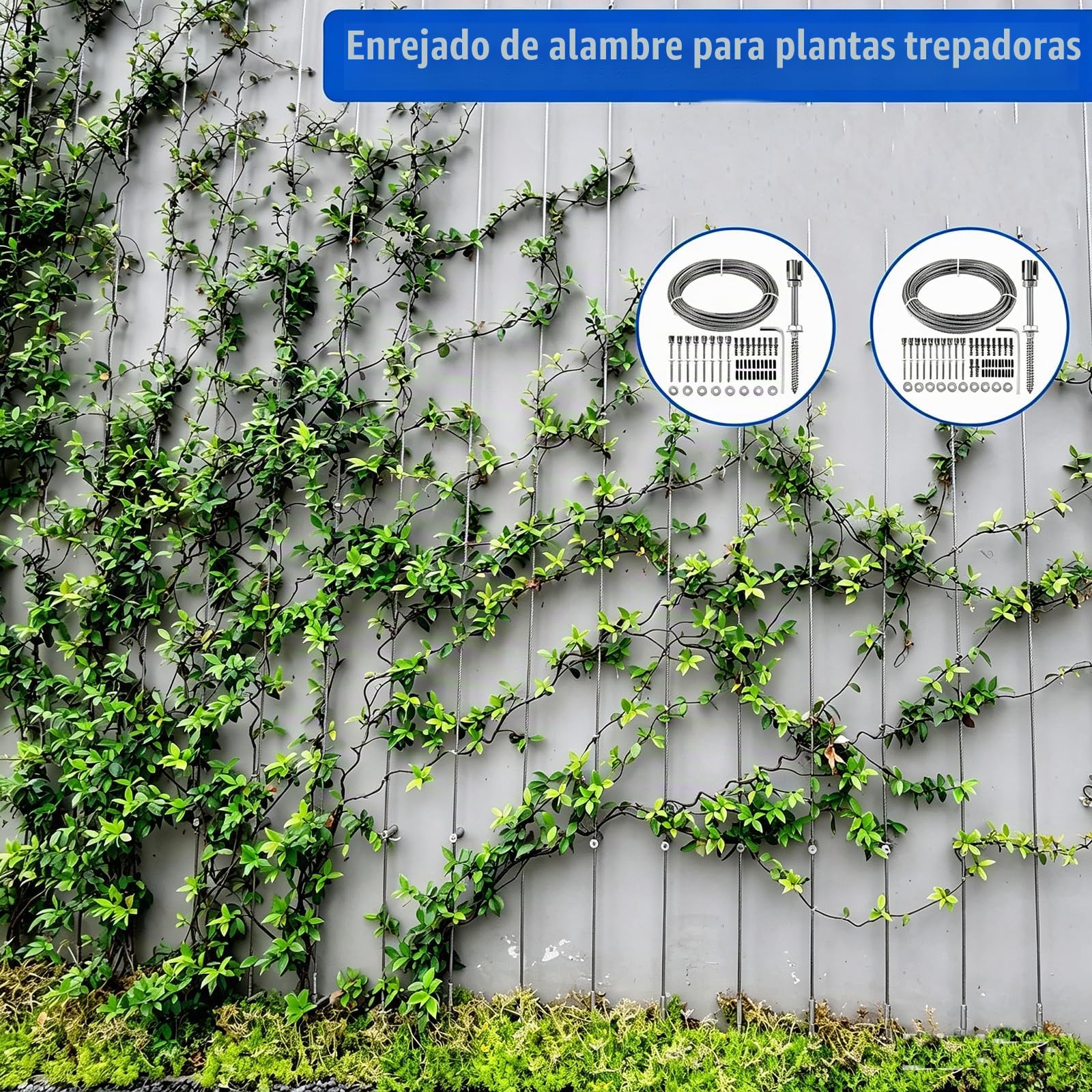 NEWFUN Enrejado de Alambre de Jardín para Plantas Trepadoras, 24 m, 16 Soportes, Soporte de Acero Inoxidable para Plantas Trepadoras como Rosas, Parras y Tomates, Soporte para Plantas Trepadoras