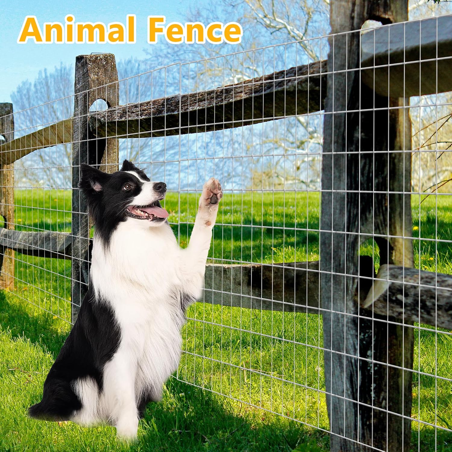 Metal Garden Fence, Hot Dip Galvanized After Welding, 2"x3" 16 Gauge, 60inch H x 100ft L Welded Wire Fencing,2/3/4/5/6ft Tallx50/100 ft Long Hardware Cloth for Yard,Farm,Chicken,Dog,Vegetable Protect