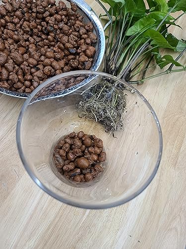 Miniatura 3 de LiquiDirt Leca - Kit ligero de piedras de arcilla expandida de 1 libra, incluye paquete de gel concentrado de liqui-Dirt para una nutrición completa